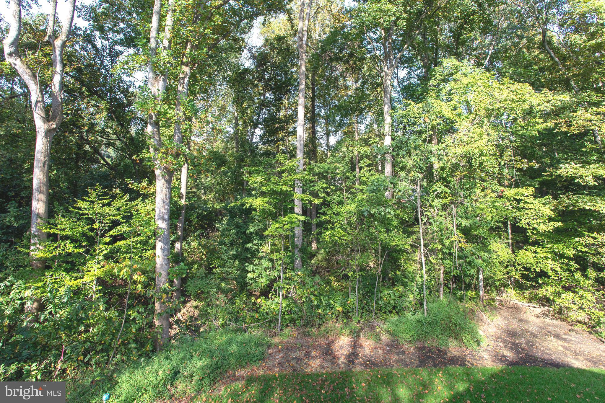 RUSTIC HILLS - Residential