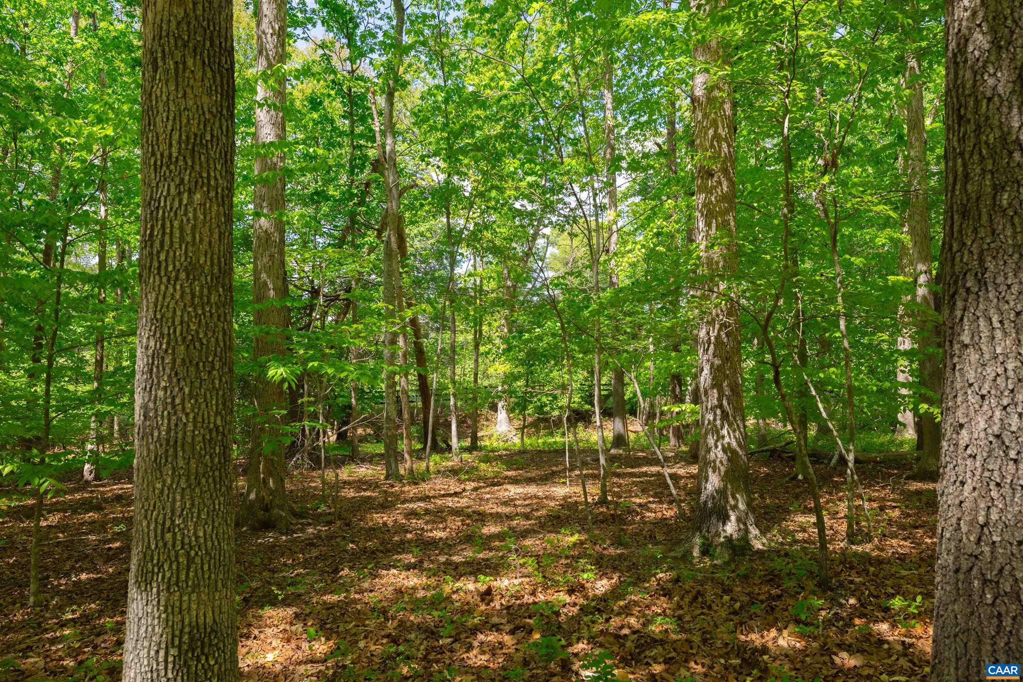 TBD KESWICK LN 45