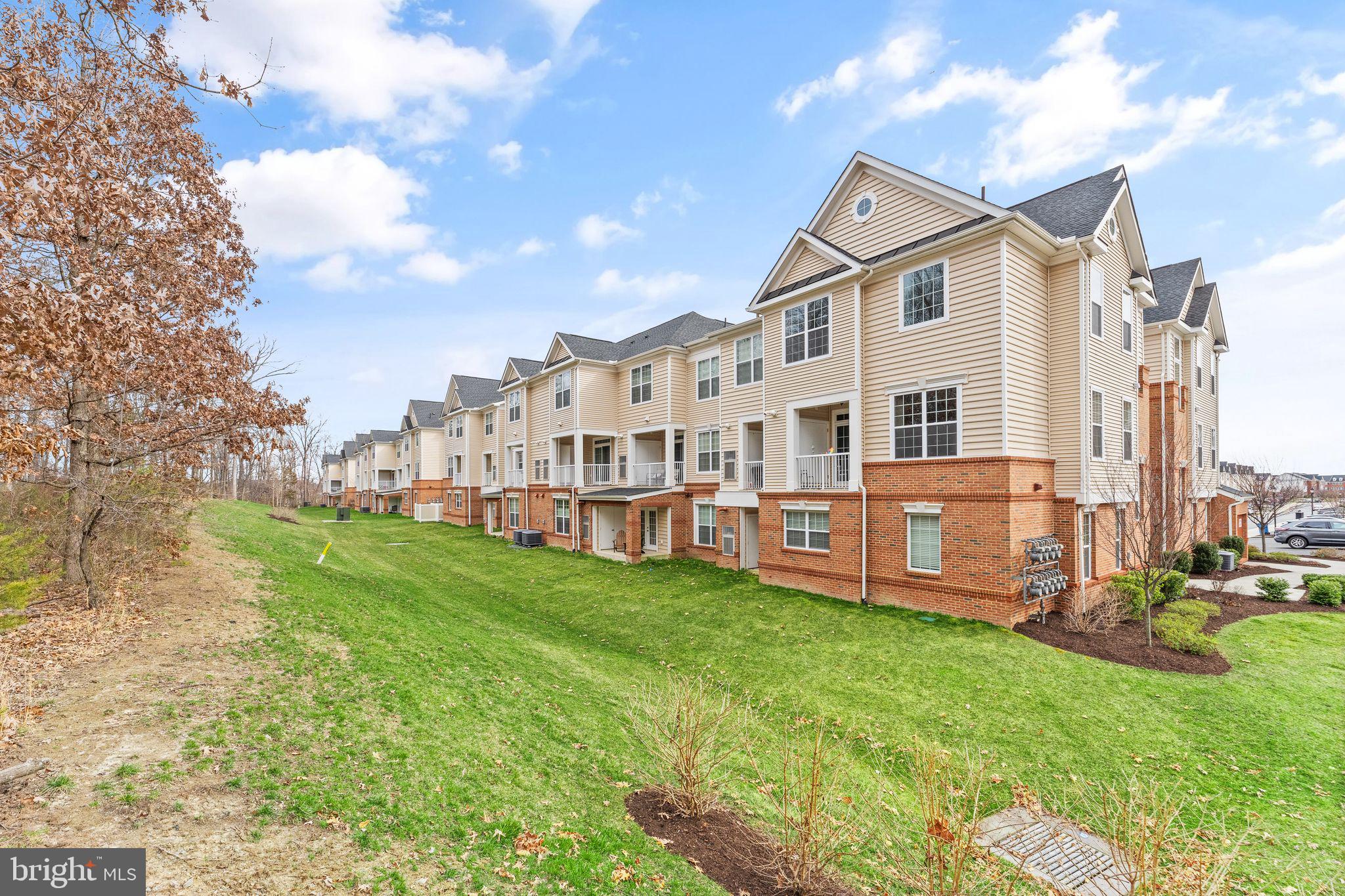 RIDGES AT LOUDOUN VALLEY - Residential