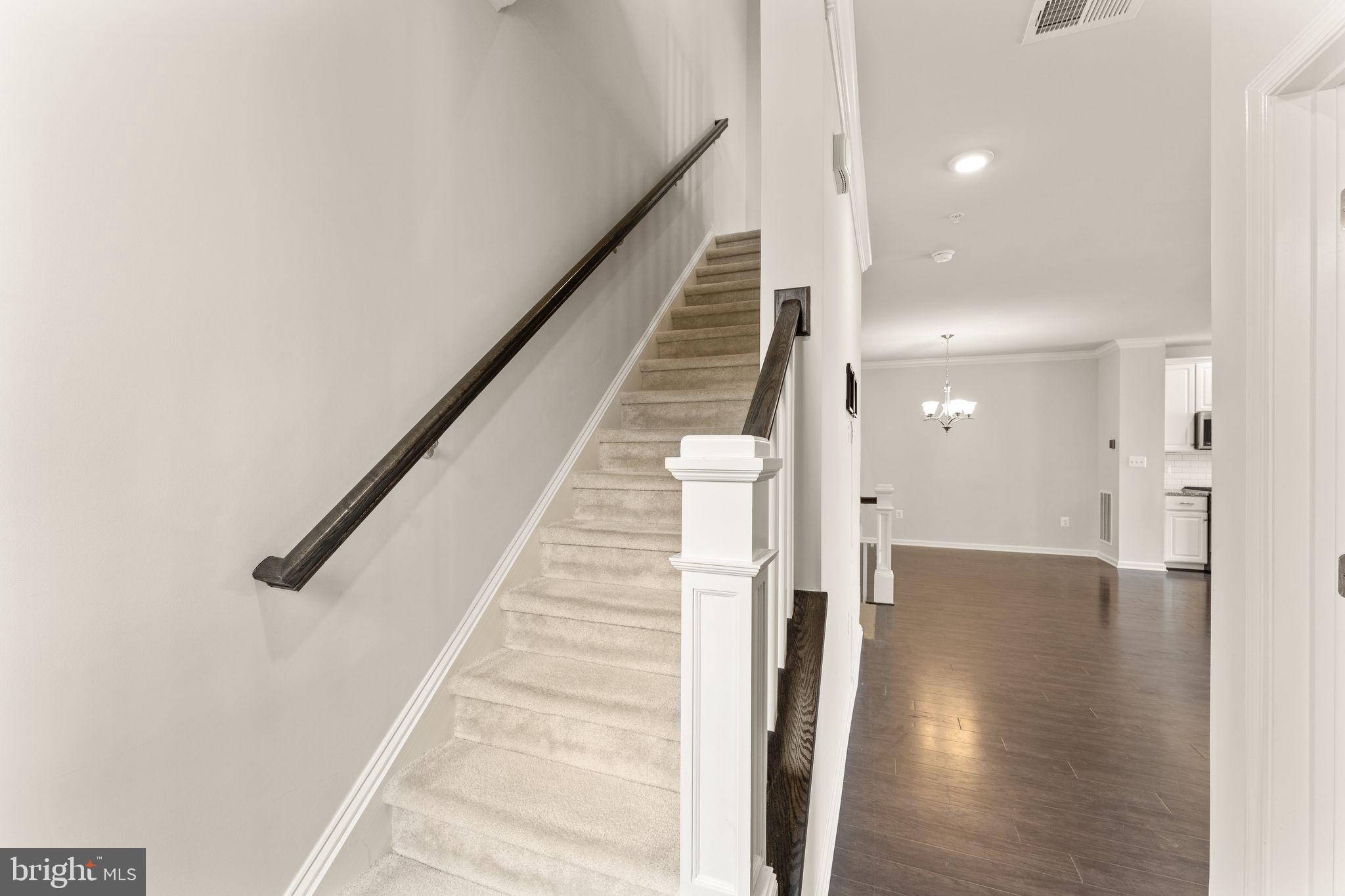 RIDGES AT LOUDOUN VALLEY - Residential