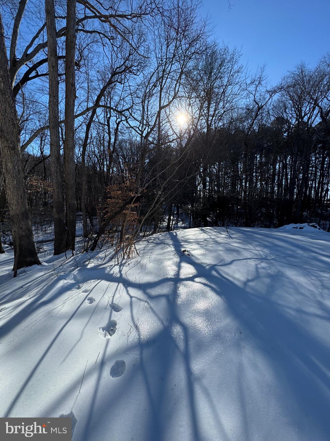 ANDREWS LAKE ESTS - Residential