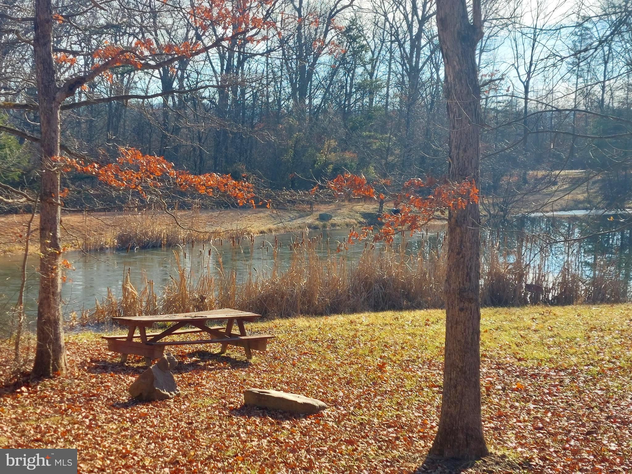 SOUTH POTOMAC FOREST - Land
