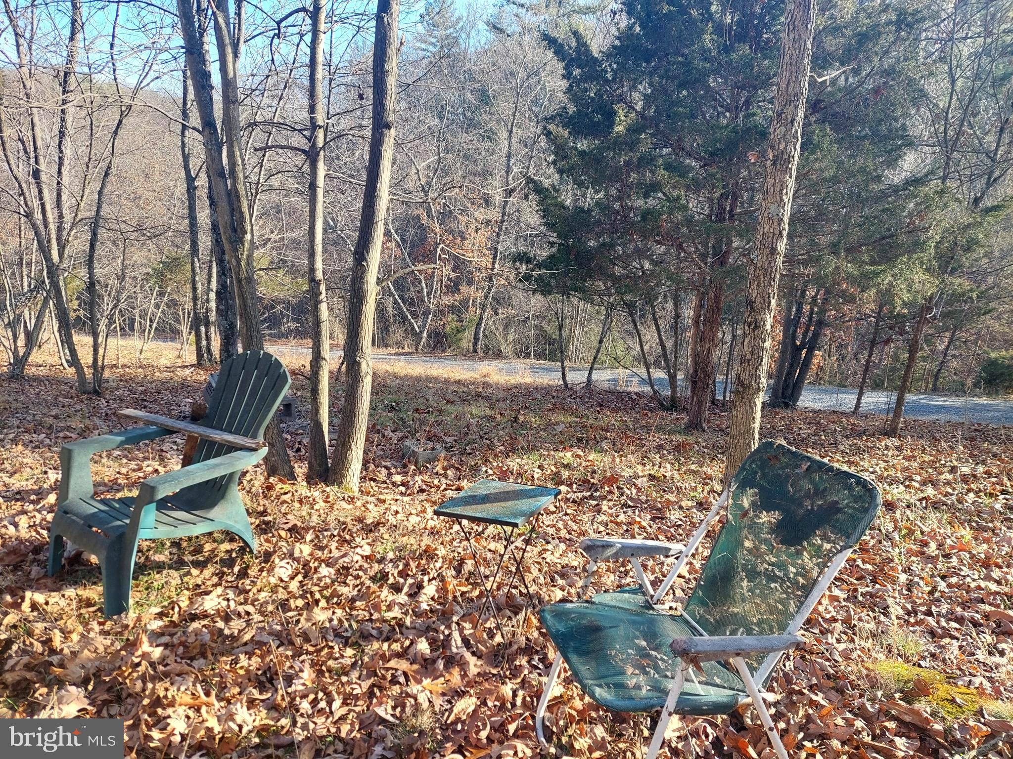 SOUTH POTOMAC FOREST - Land