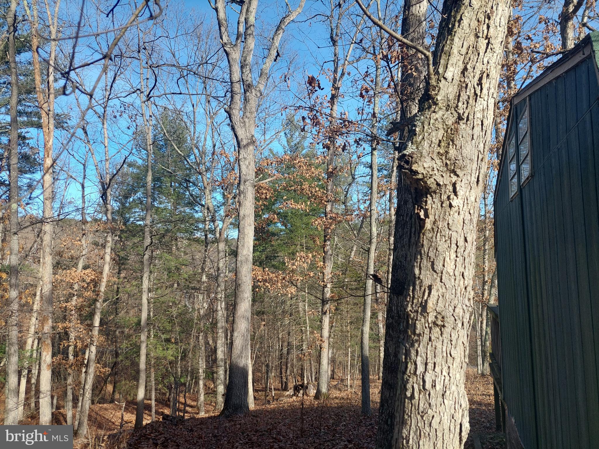 SOUTH POTOMAC FOREST - Land