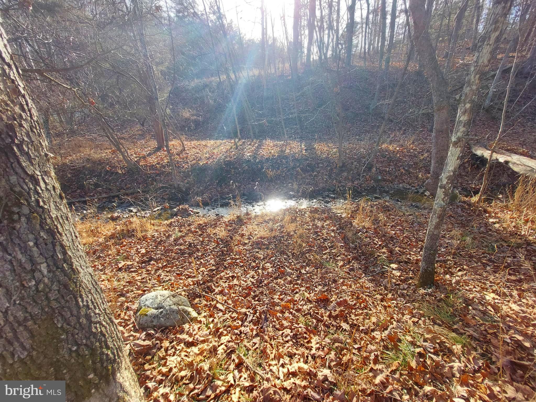 SOUTH POTOMAC FOREST - Land