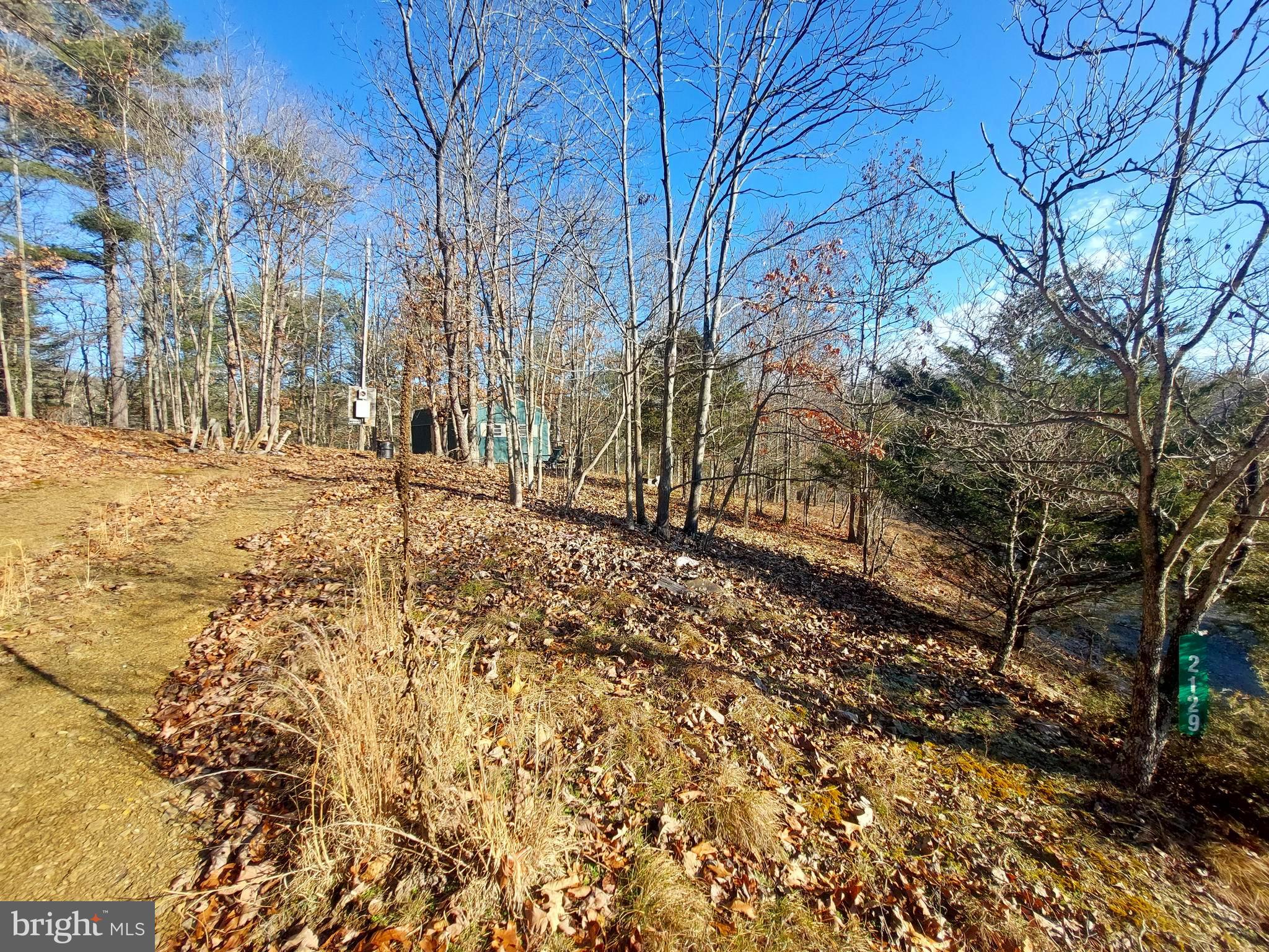 SOUTH POTOMAC FOREST - Land