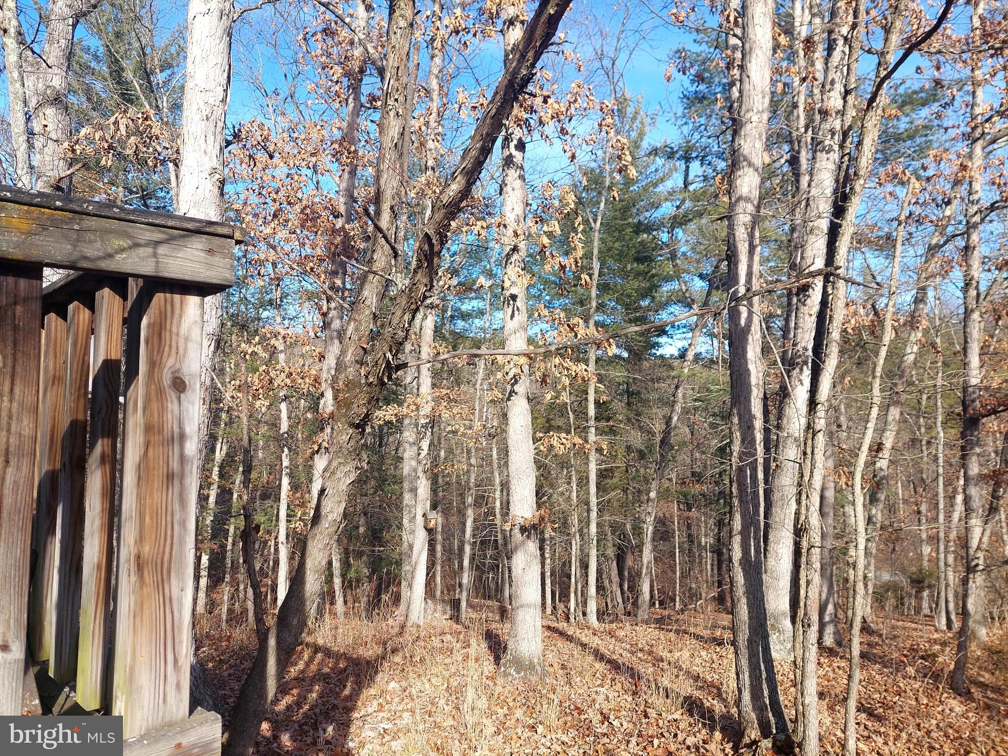 SOUTH POTOMAC FOREST - Land