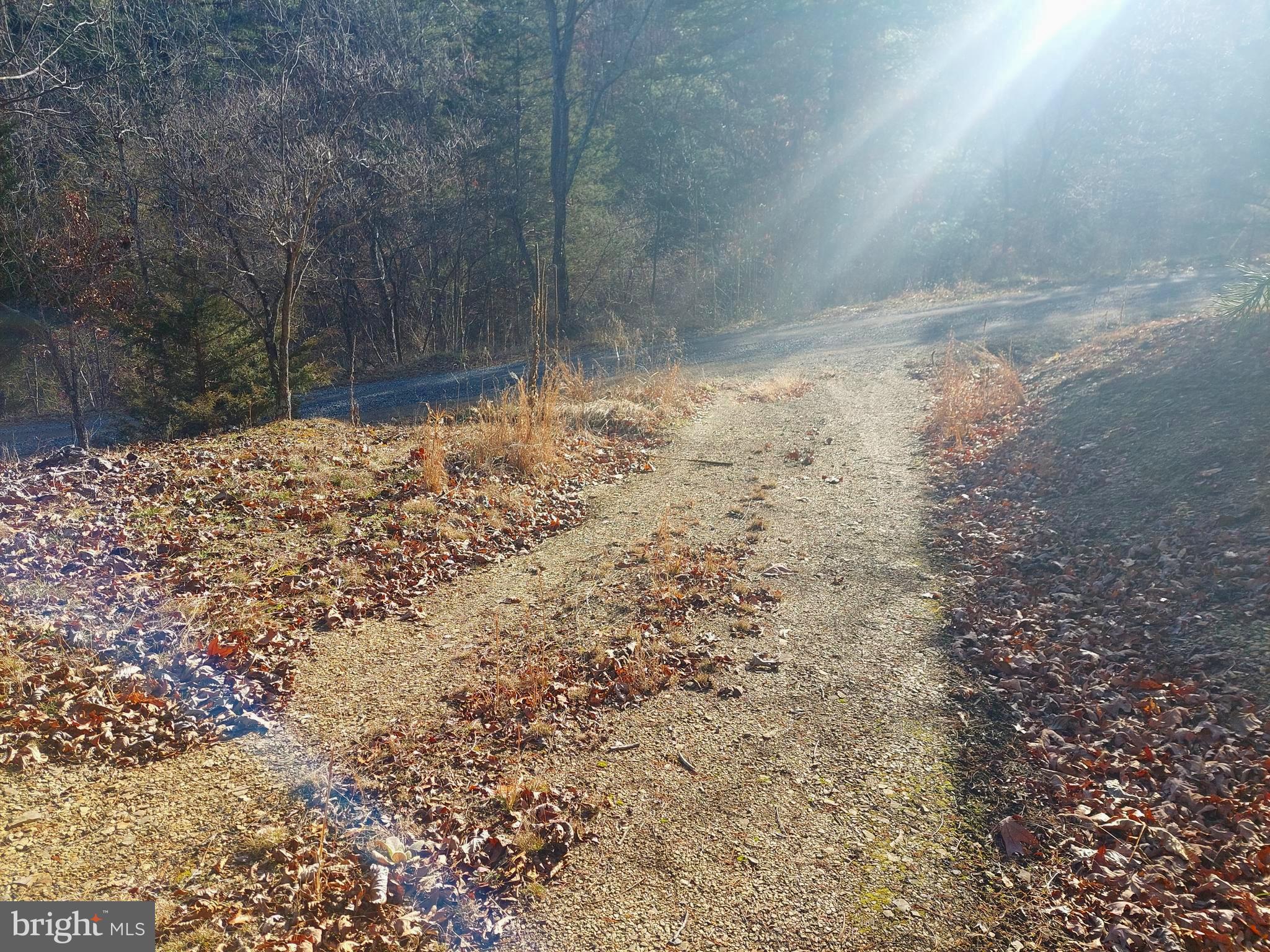 SOUTH POTOMAC FOREST - Land