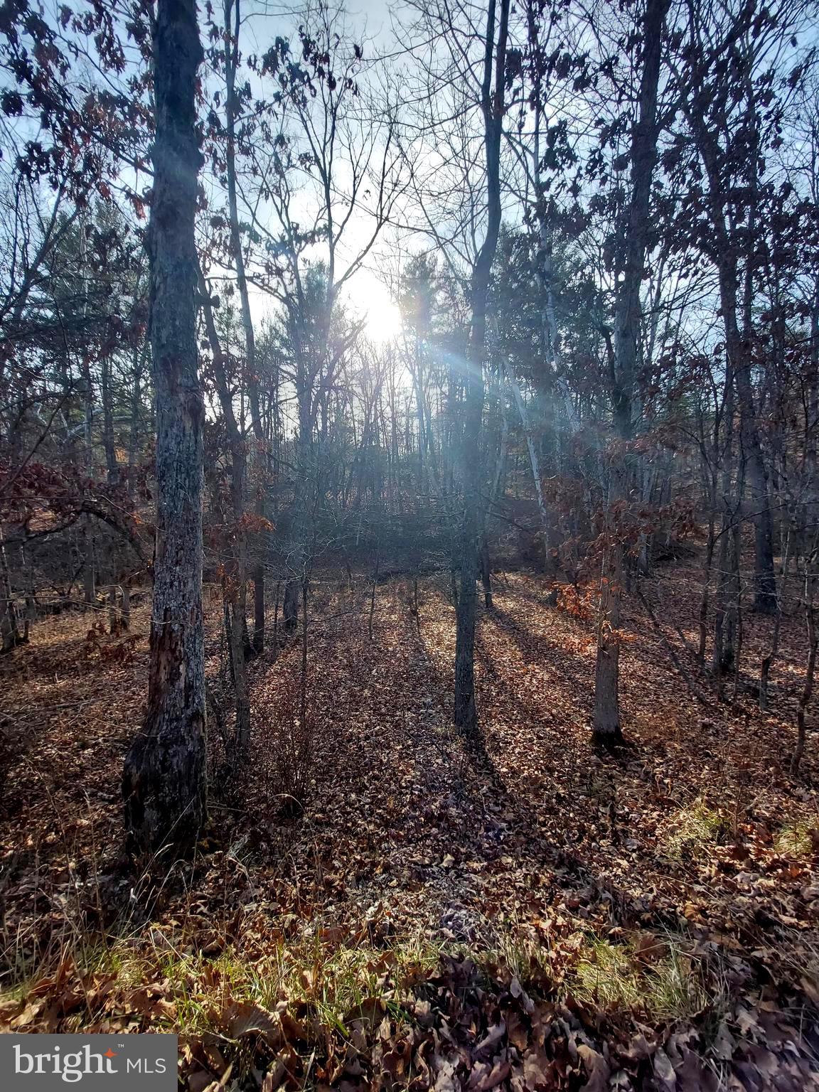 SOUTH POTOMAC FOREST - Land