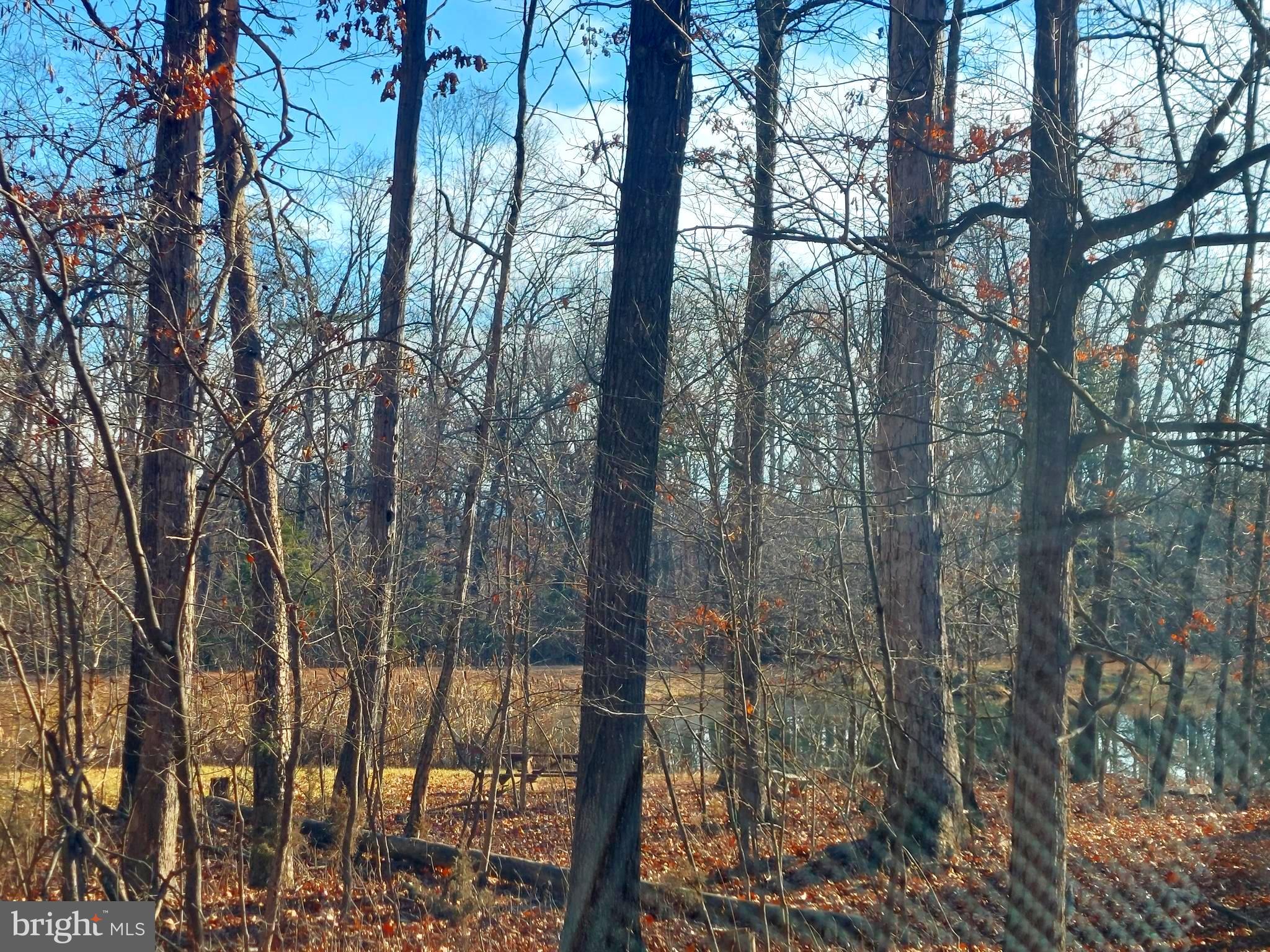 SOUTH POTOMAC FOREST - Land