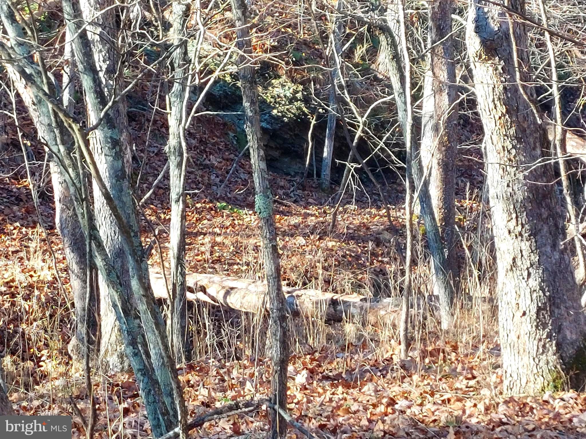 SOUTH POTOMAC FOREST - Land