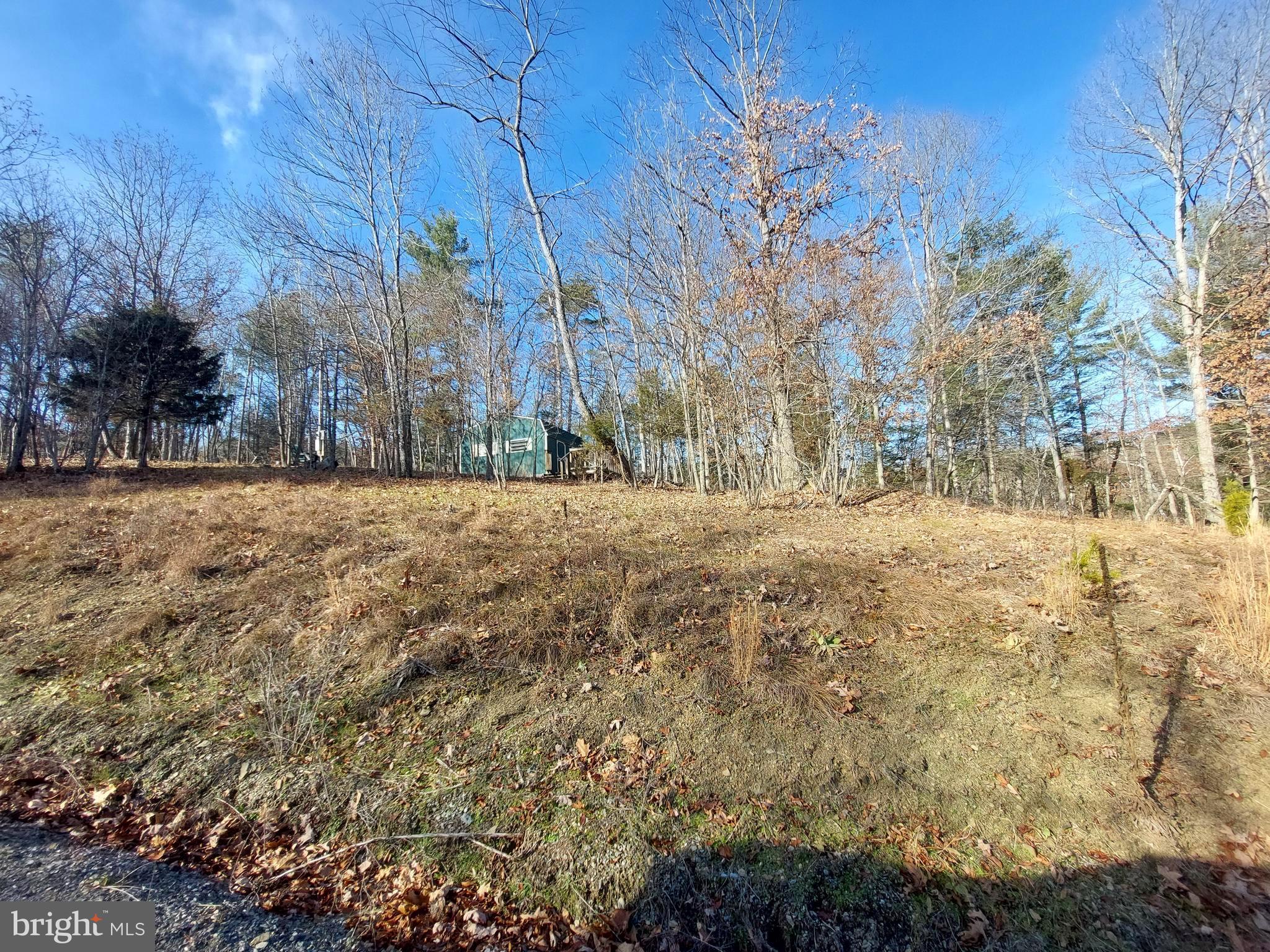 SOUTH POTOMAC FOREST - Land