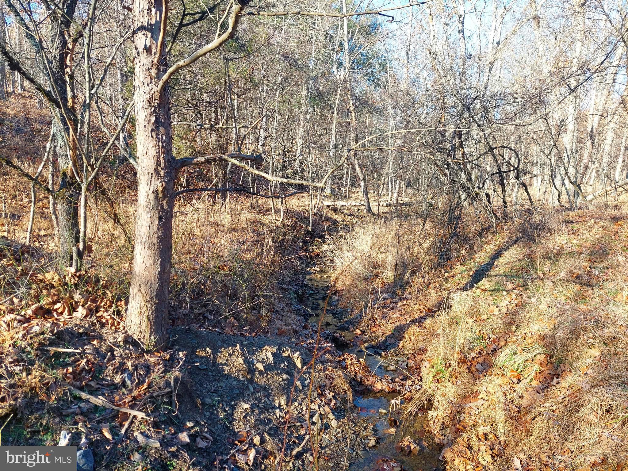 SOUTH POTOMAC FOREST - Land
