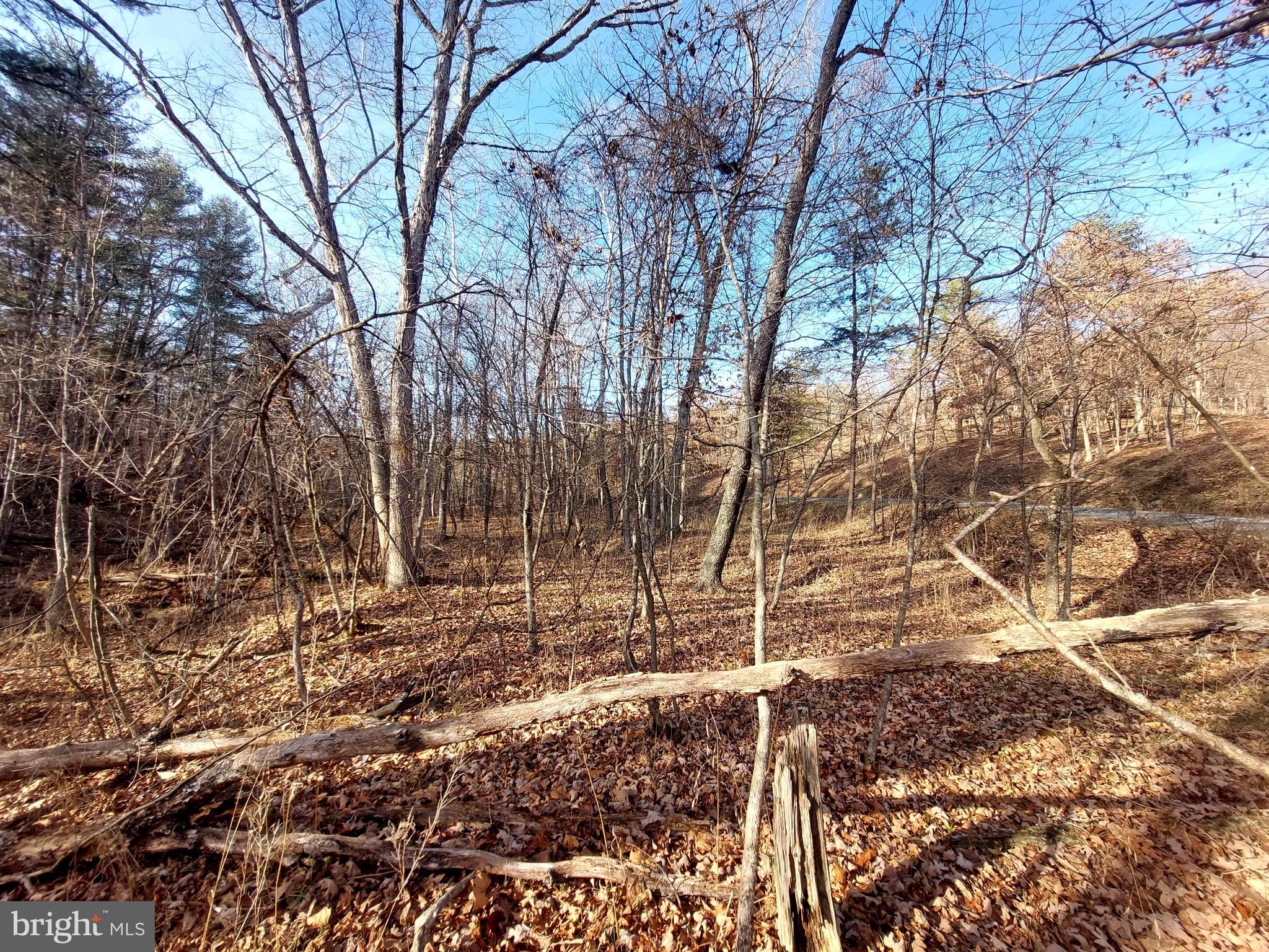 SOUTH POTOMAC FOREST - Land