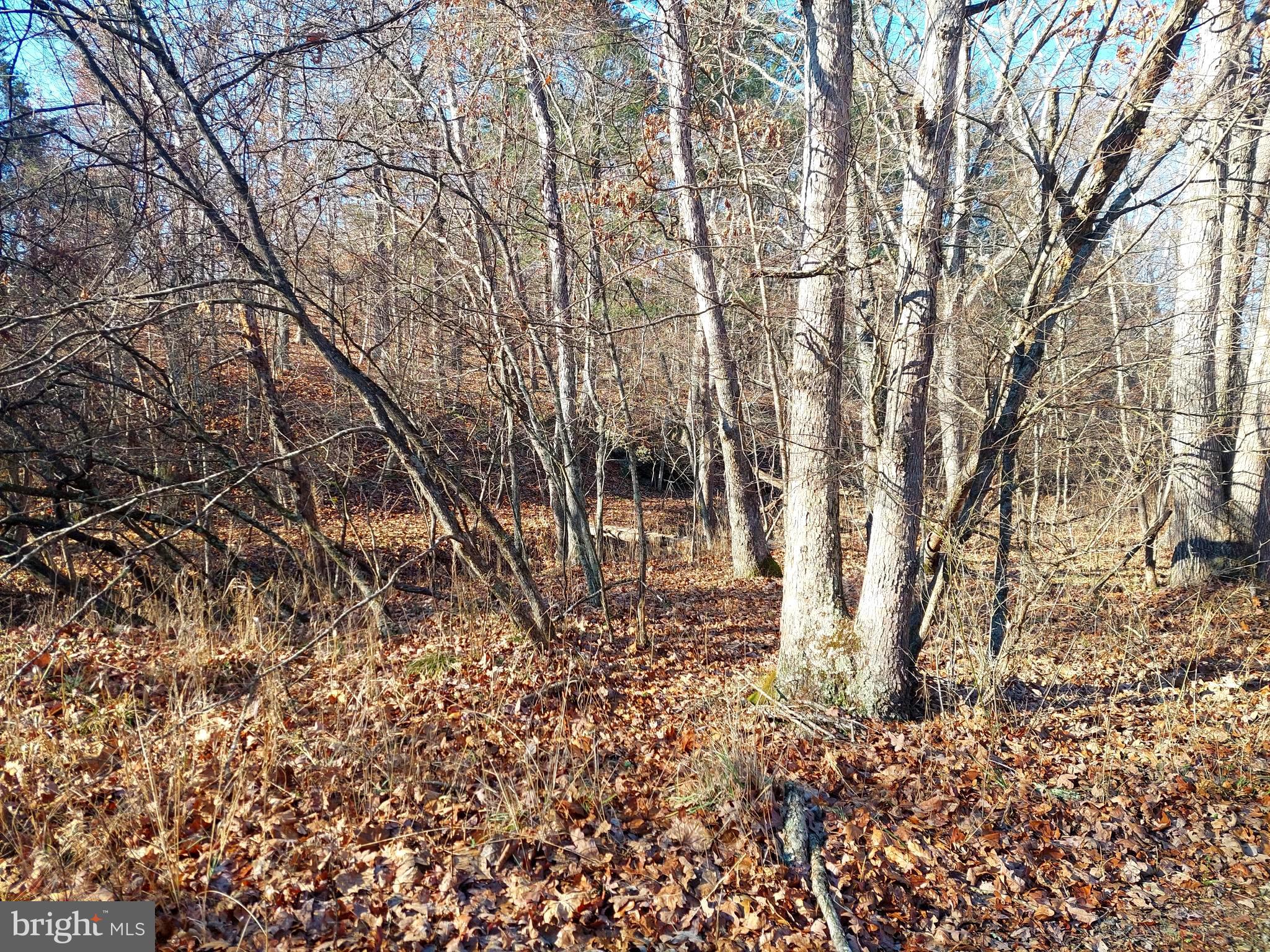 SOUTH POTOMAC FOREST - Land