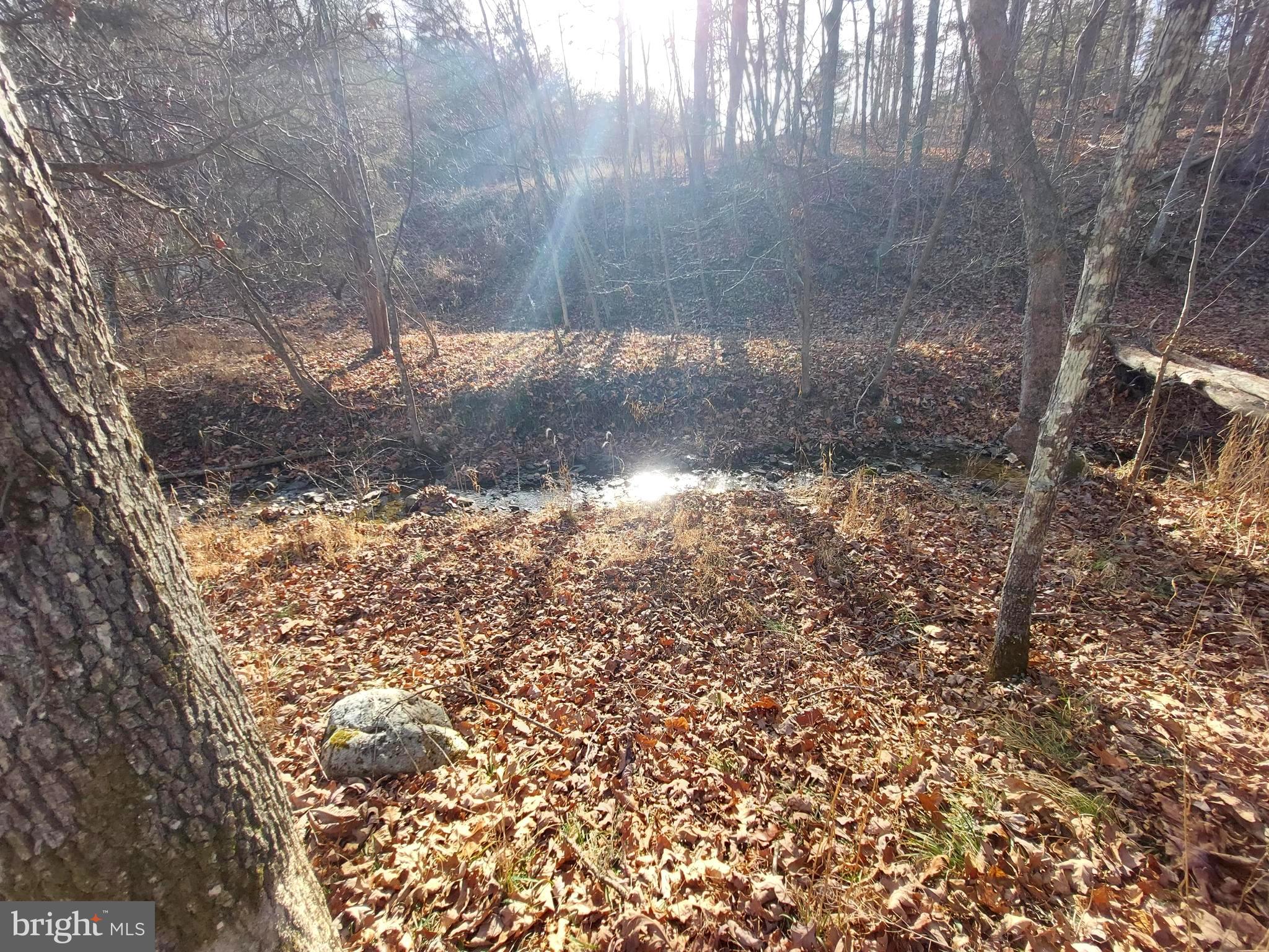 SOUTH POTOMAC FOREST - Land