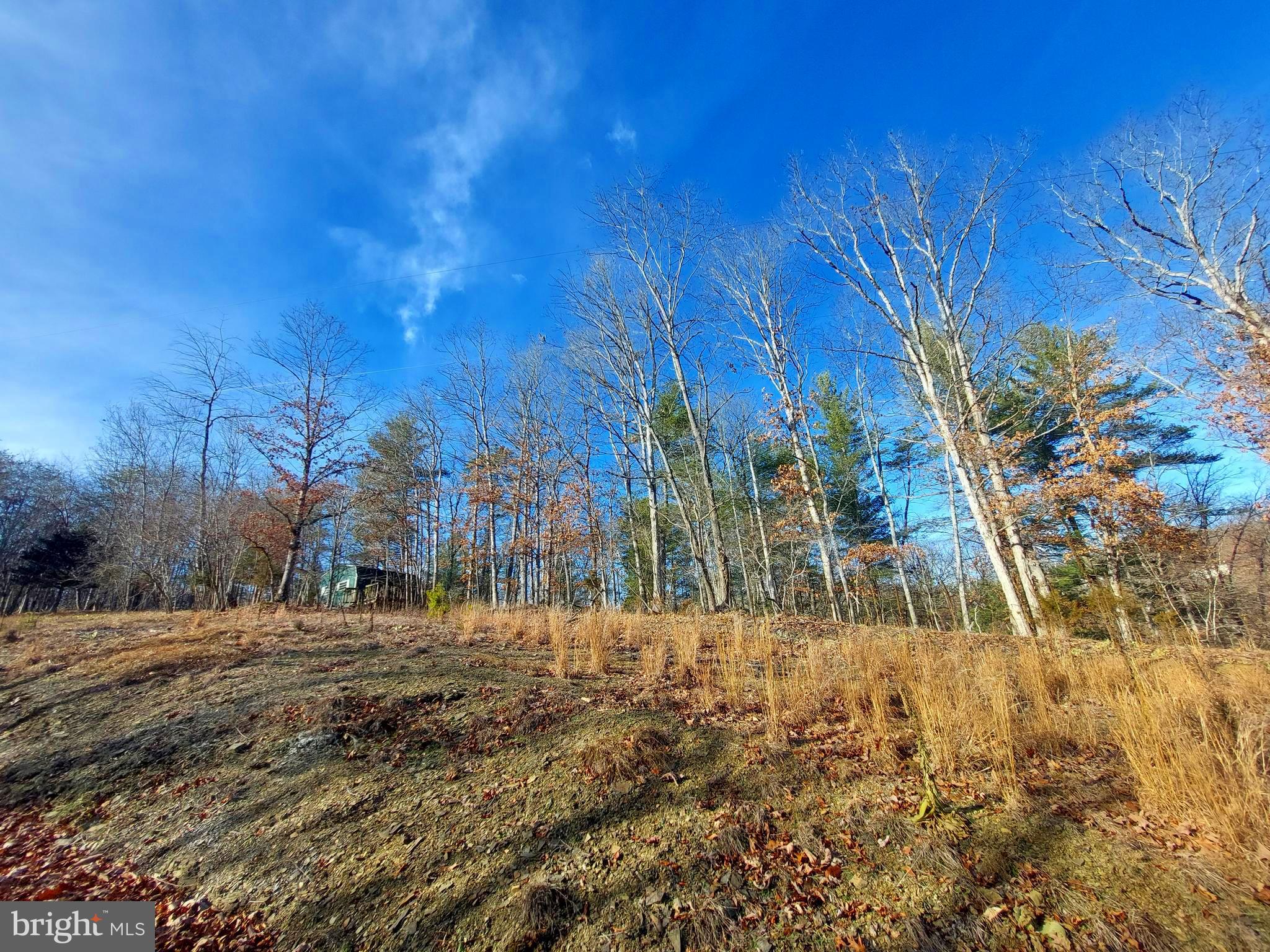 SOUTH POTOMAC FOREST - Land