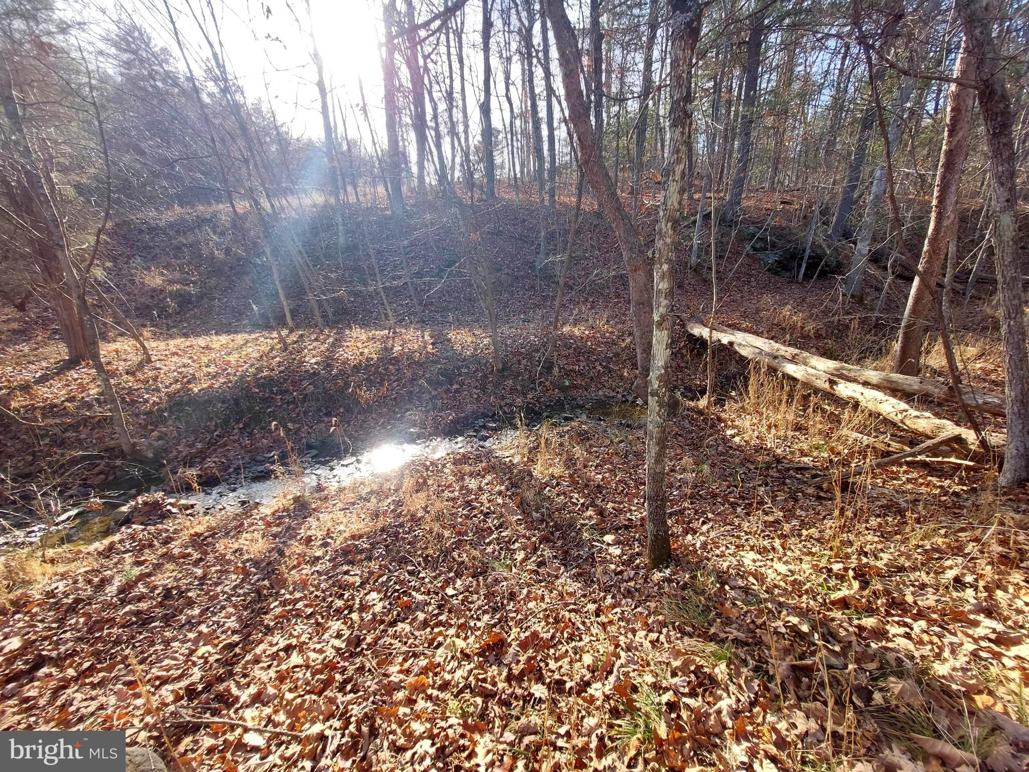 SOUTH POTOMAC FOREST - Land