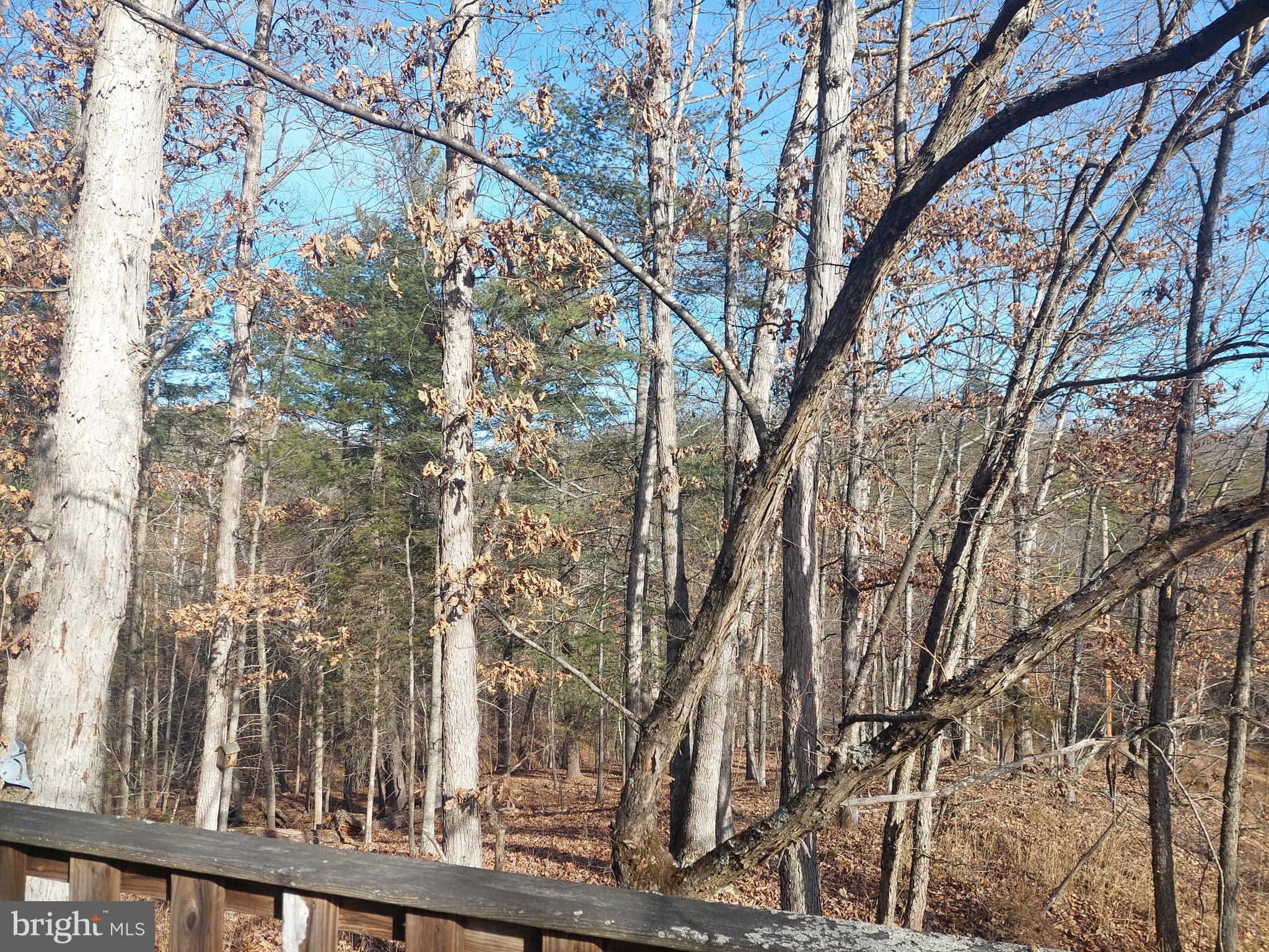 SOUTH POTOMAC FOREST - Land