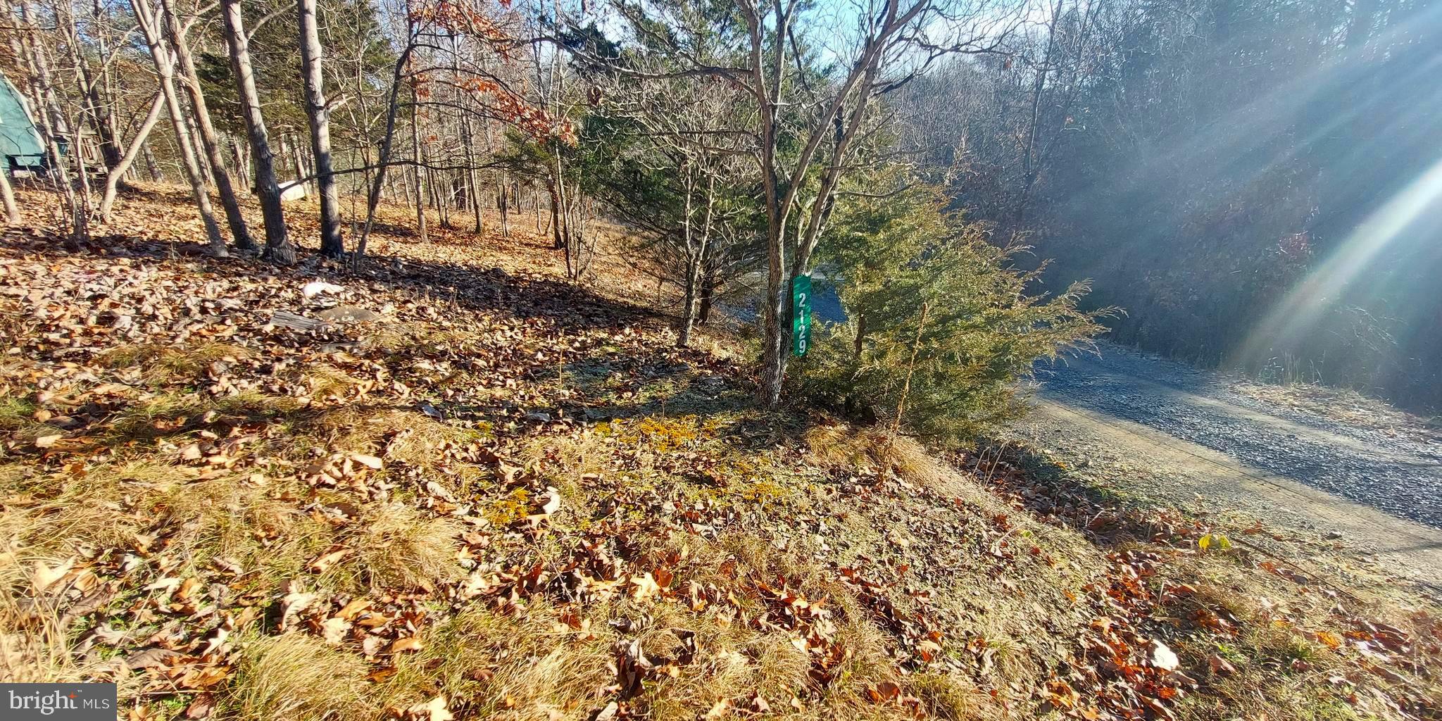 SOUTH POTOMAC FOREST - Land