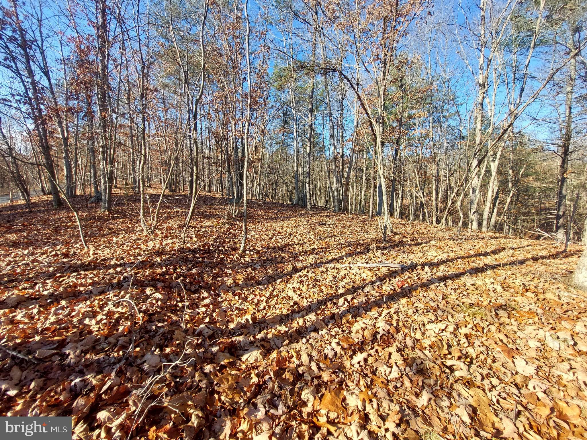 SOUTH POTOMAC FOREST - Land