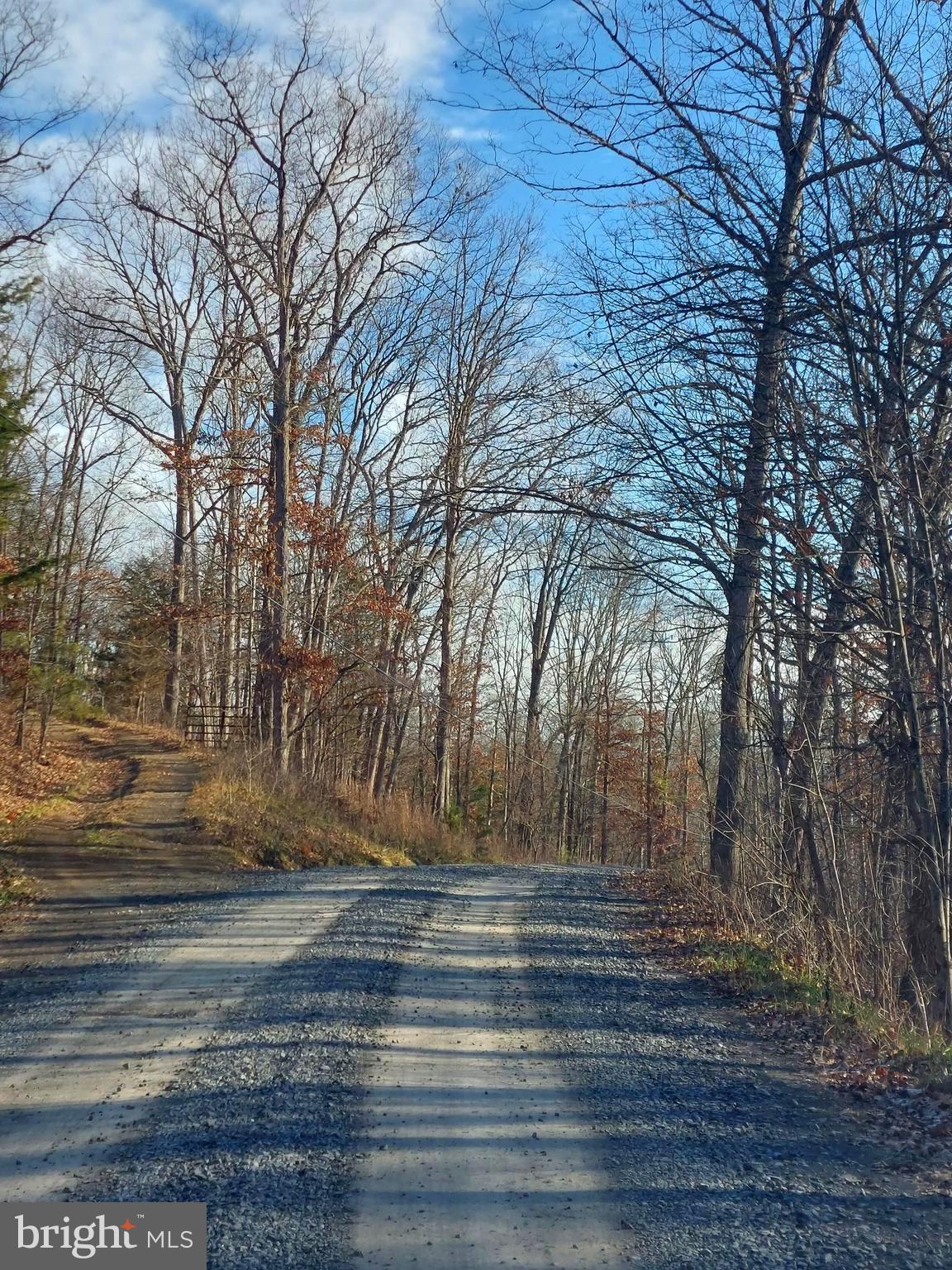 SOUTH POTOMAC FOREST - Land