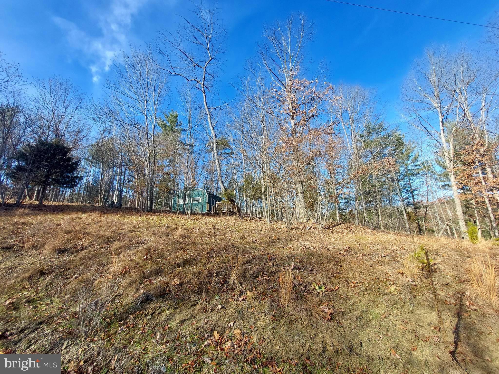 SOUTH POTOMAC FOREST - Land