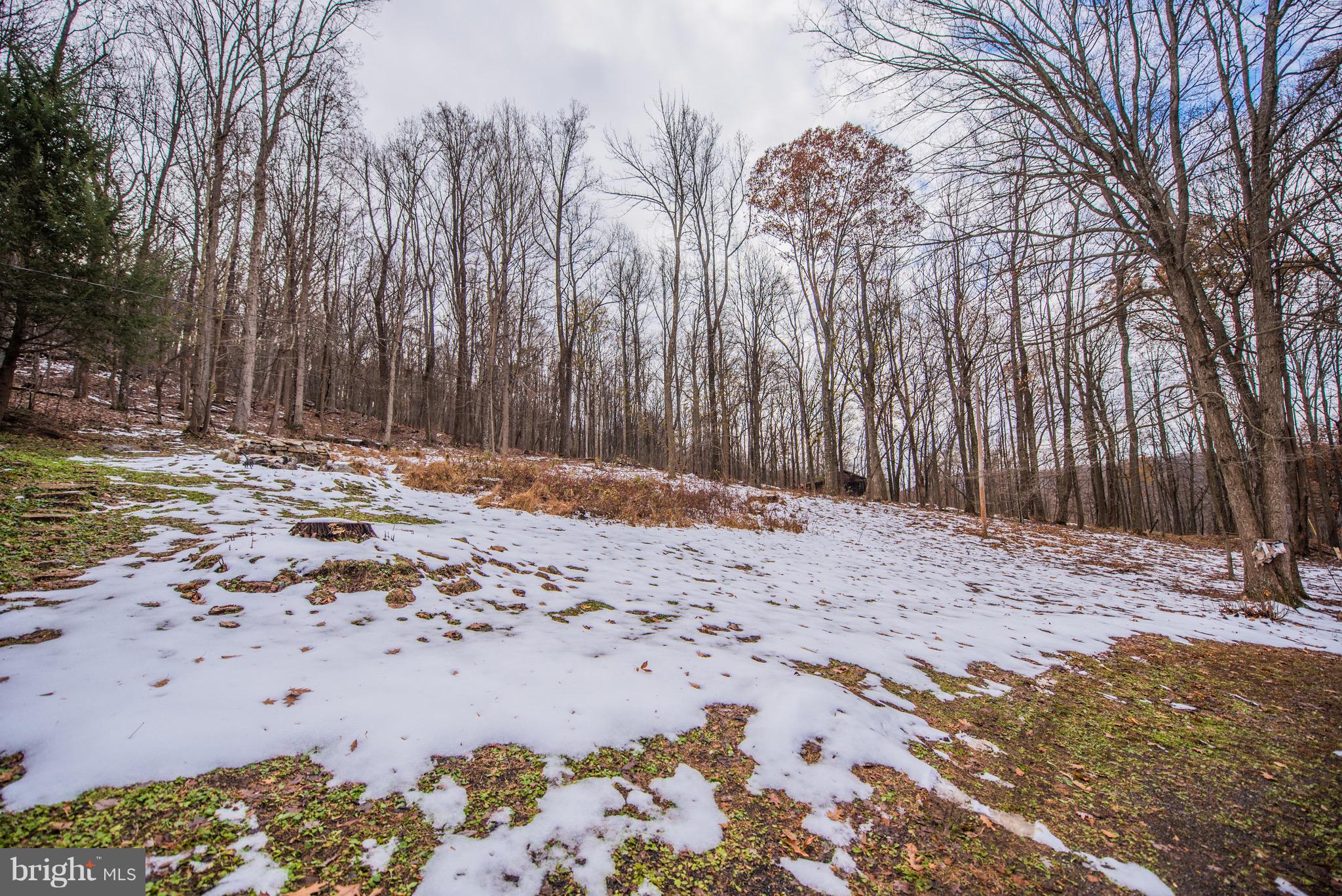 ROUSE MT - Residential