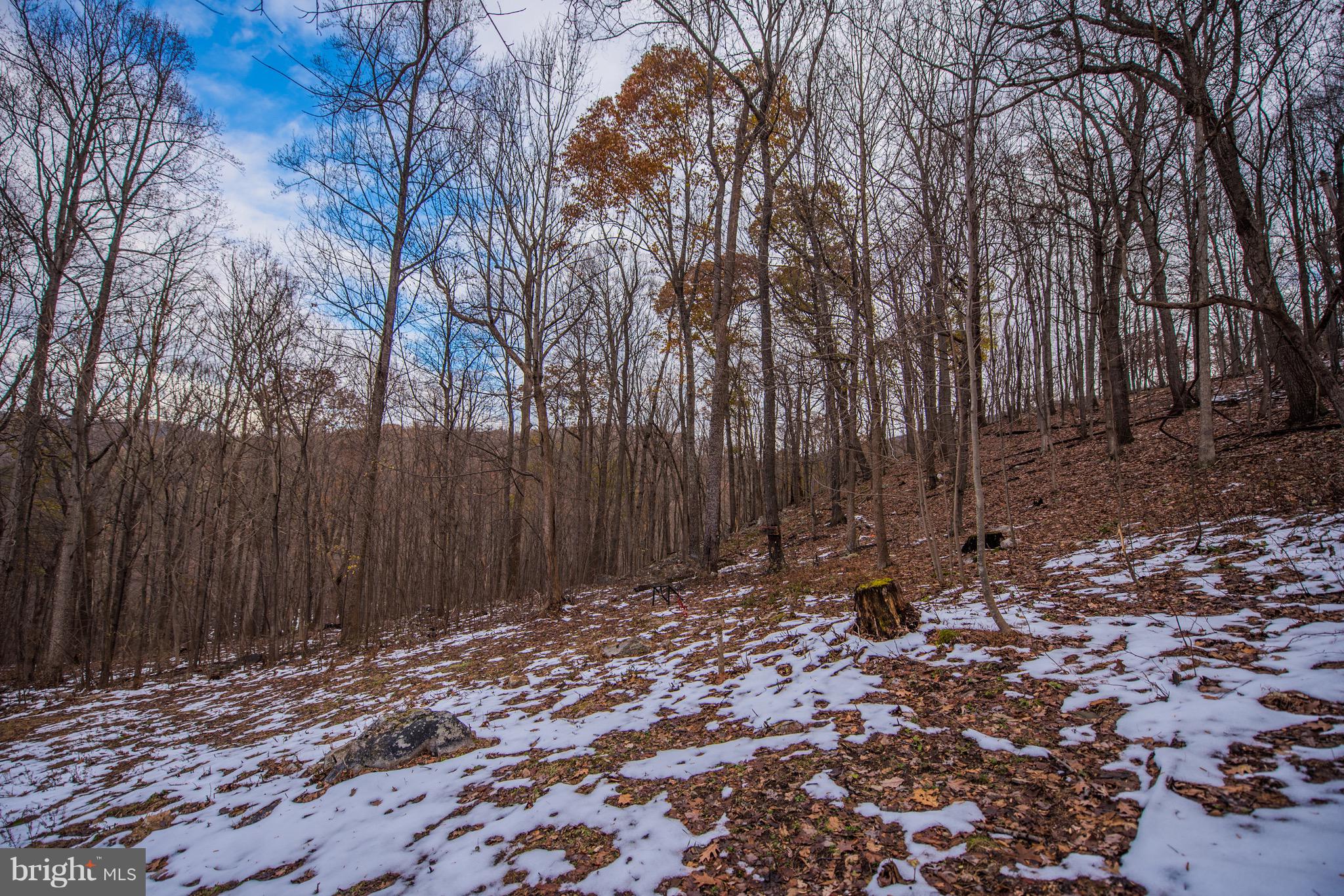 ROUSE MT - Residential