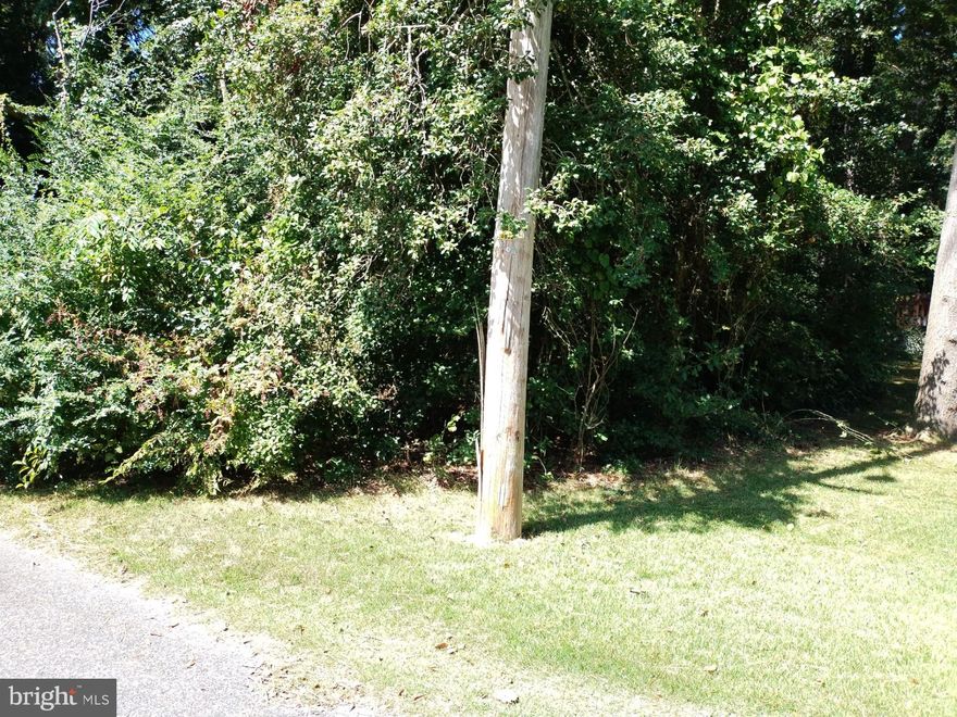 Build Your Vision on Allen Ave. Tucked away on a quiet community of Laurel, this generous .6107-acre lot on Allen Avenue is your chance to create the home of your dreams. With the flexibility to install your own private well and septic, you'll enjoy both privacy and cost savings in this great location in Laurel Delaware. Conveniently located near local schools, unique shops and dining, this lot offers both tranquility and access to nice amenities Laurel have to offer. Bring your plans and build a life you'll love in this haven! Take advantage of the unique opportunity to buy your dream home, outdoor space, and more!