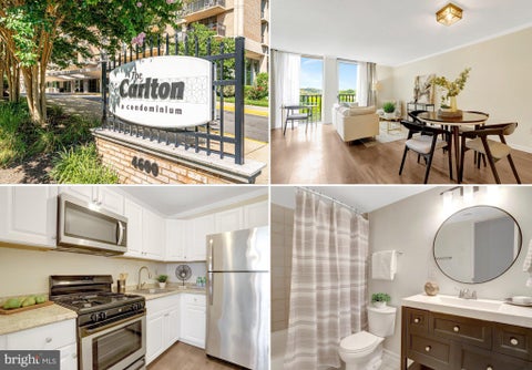 Photo of 4600 S Four Mile Run Drive #1029, ARLINGTON, VA 22204 (MLS # VAAR2077424)