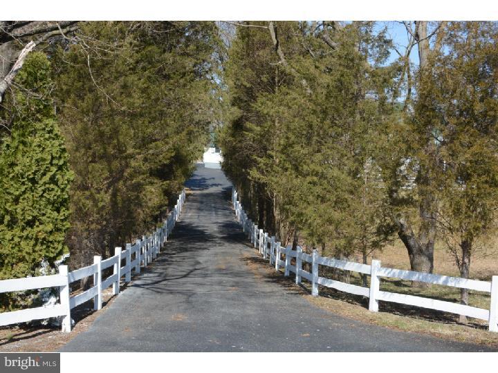 RABBIT RUN - Residential