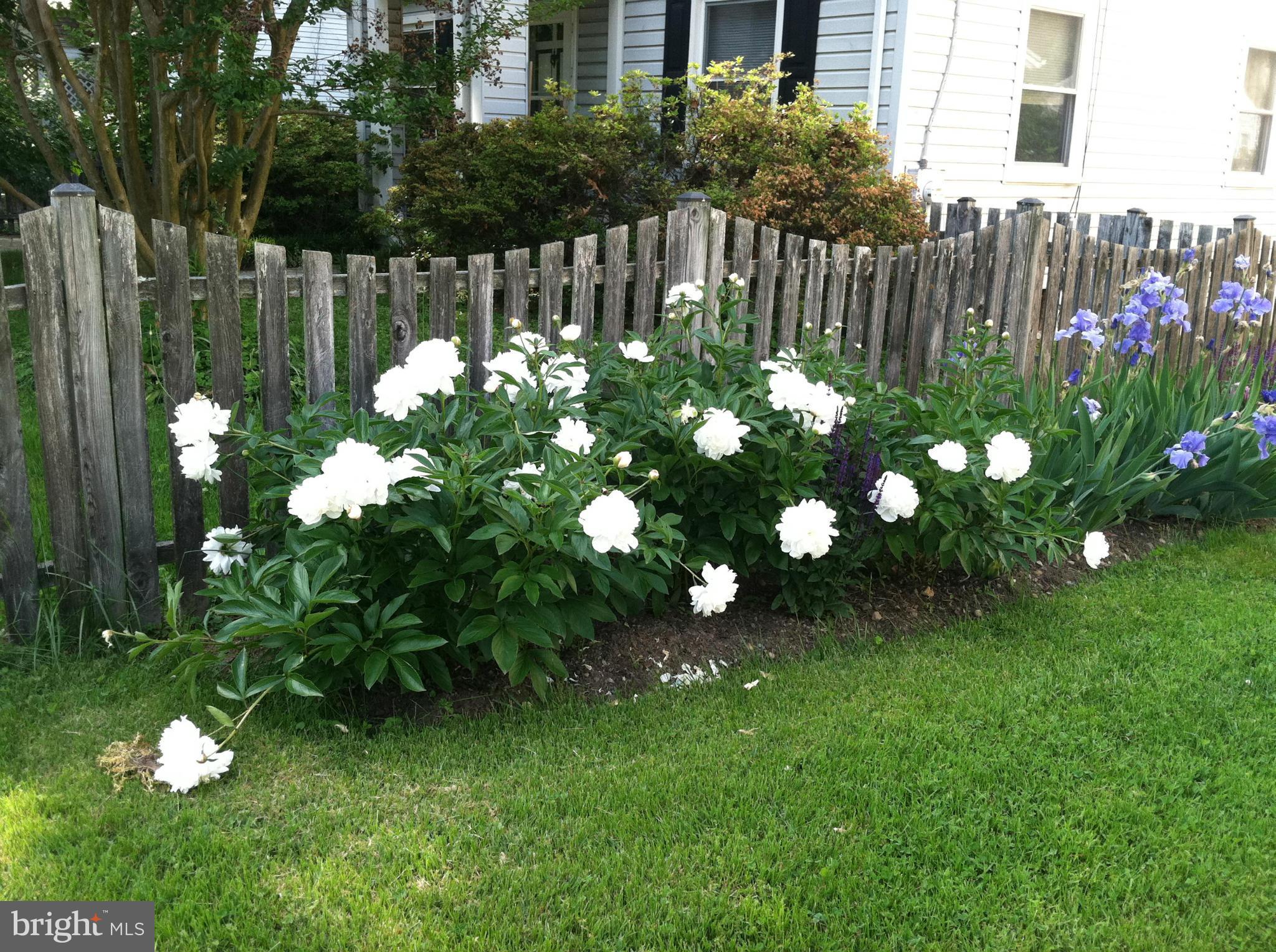 HOMEWOOD - Residential