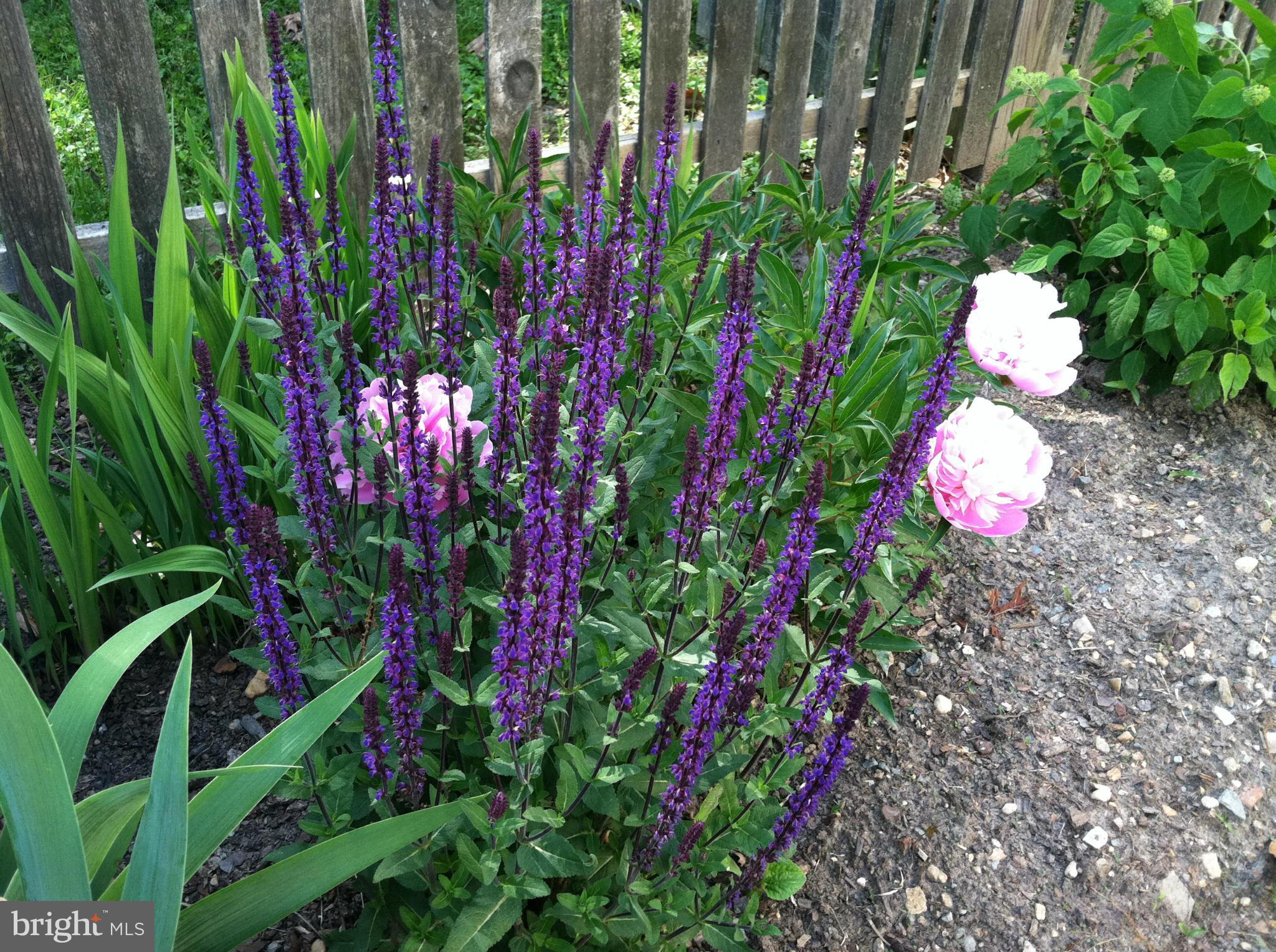 HOMEWOOD - Residential