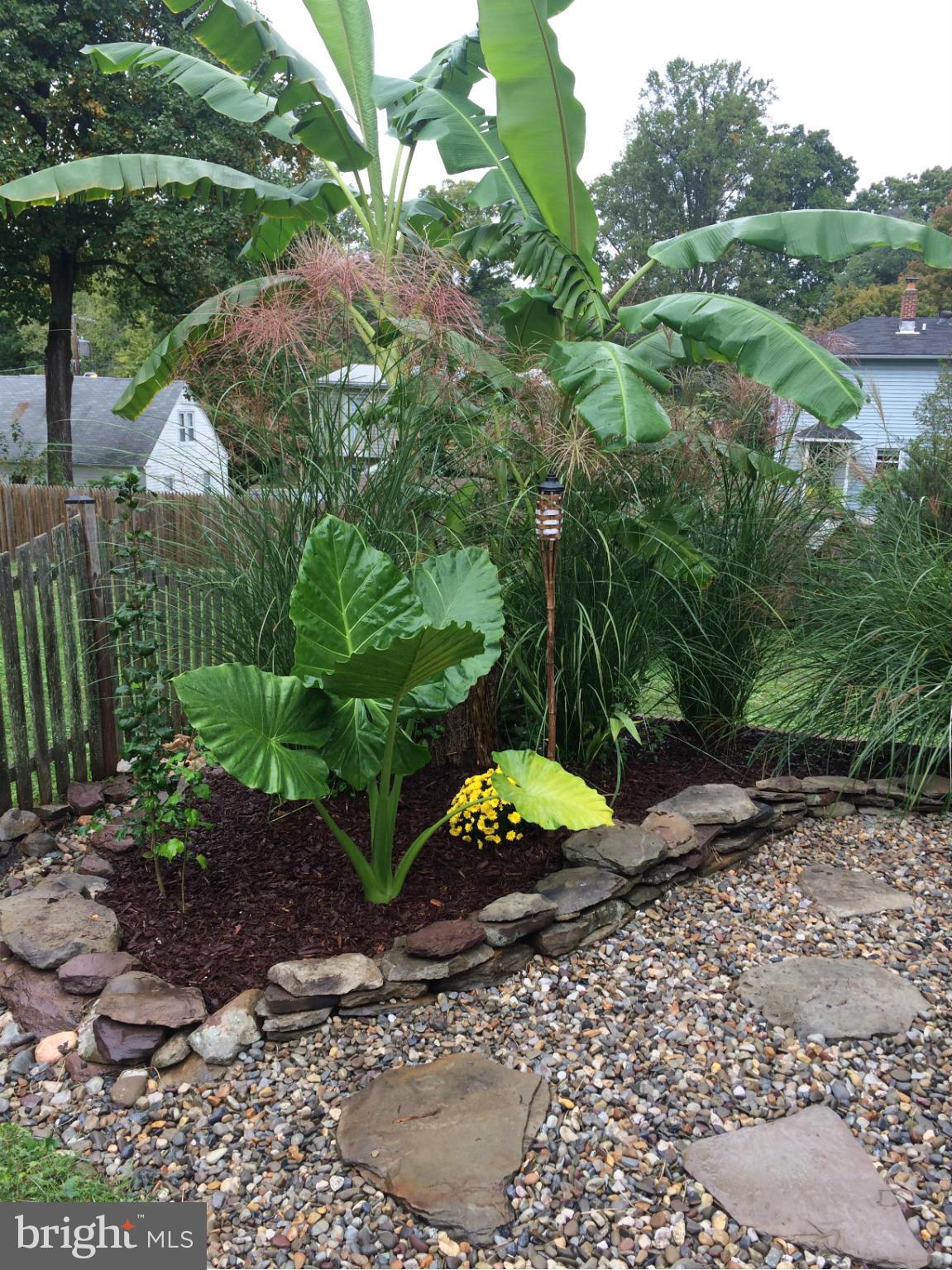 HOMEWOOD - Residential