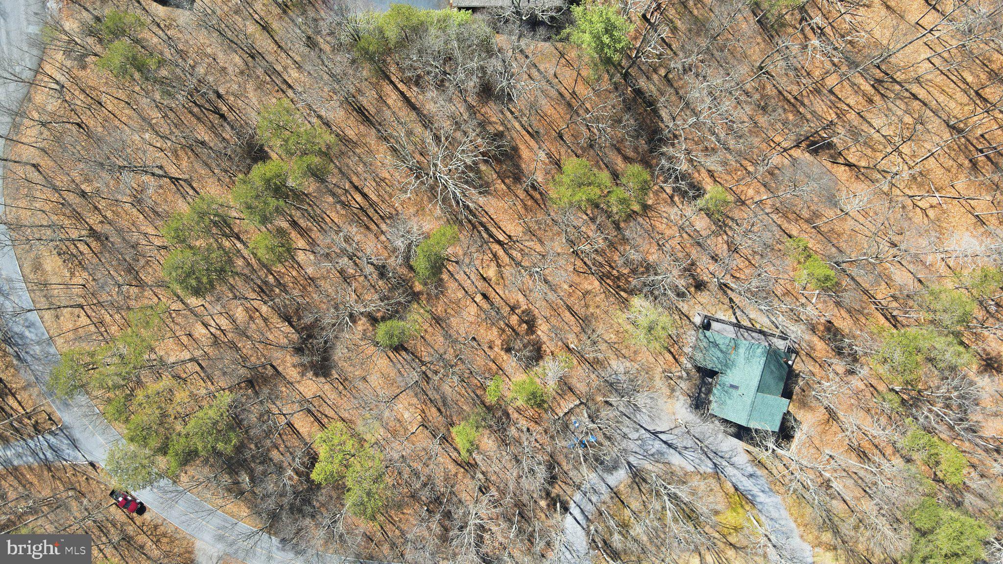 THE WOODS - Residential