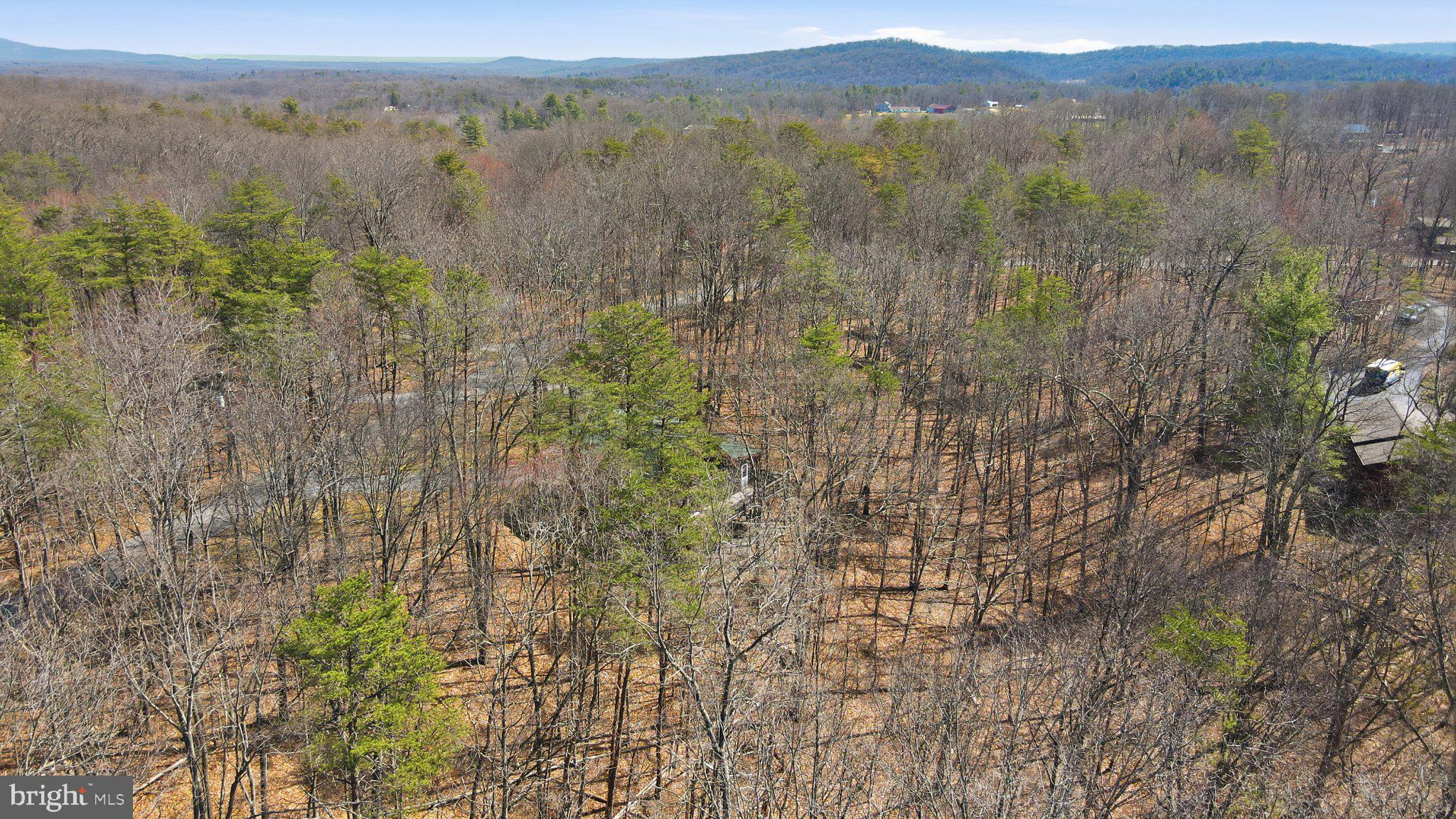 THE WOODS - Residential