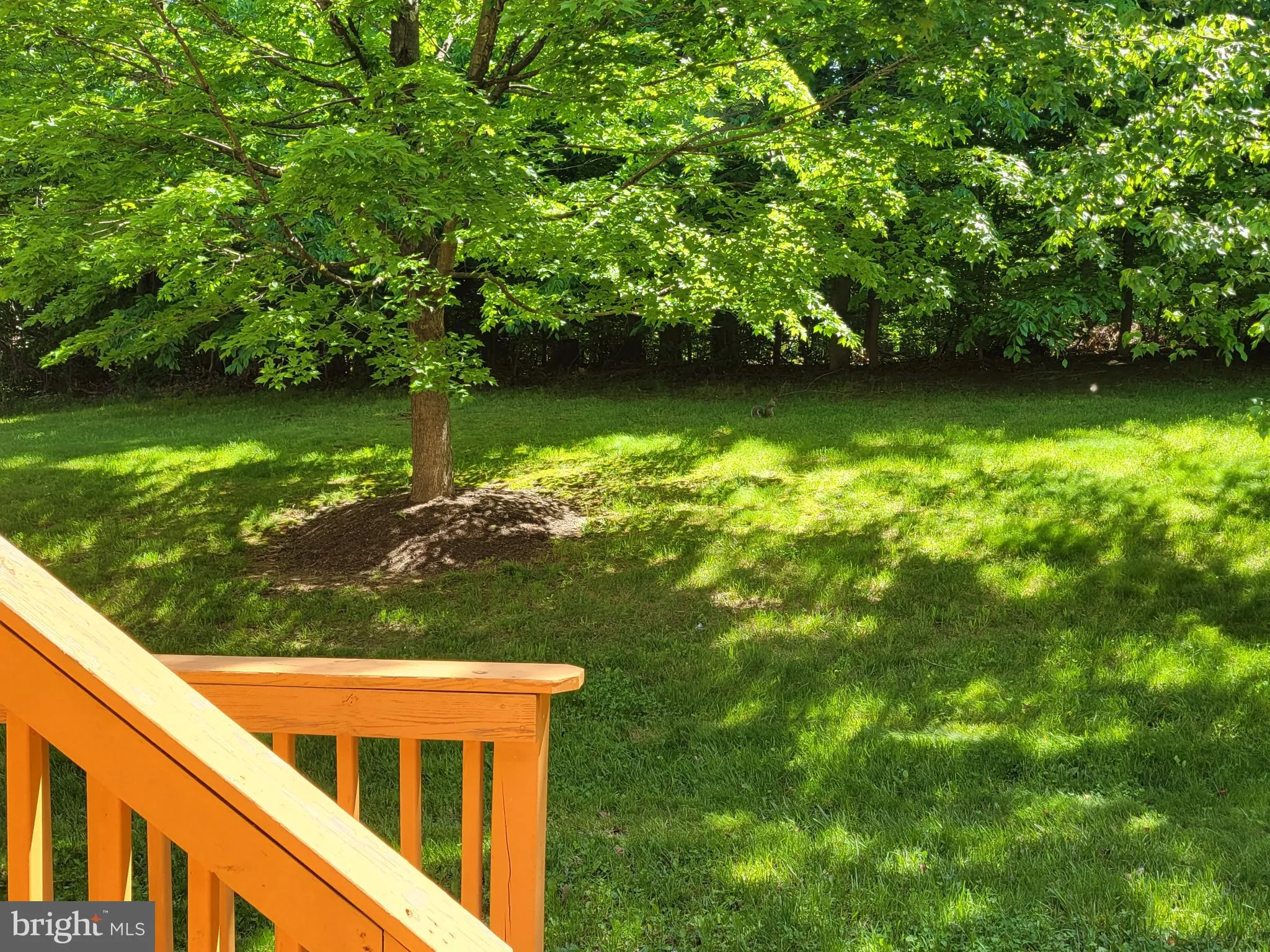 Additional image 49 of 2508 Black Oak Way, Odenton, MD 21113
