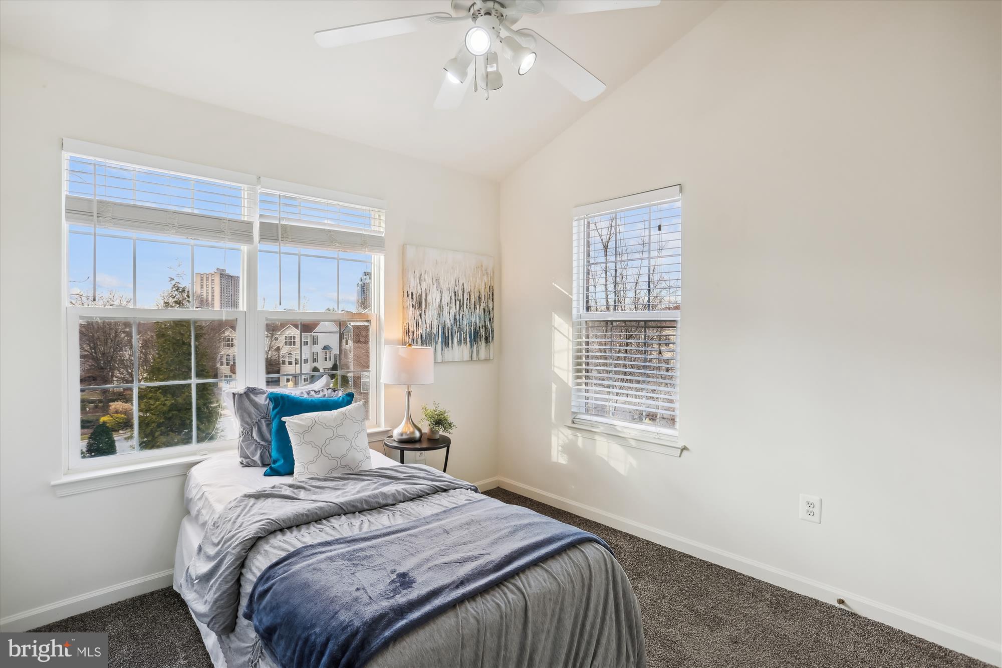 WASHINGTONIAN CENTER - Residential