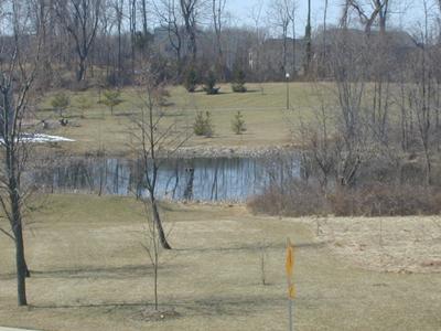 MONMOUTH MEADOWS - Residential