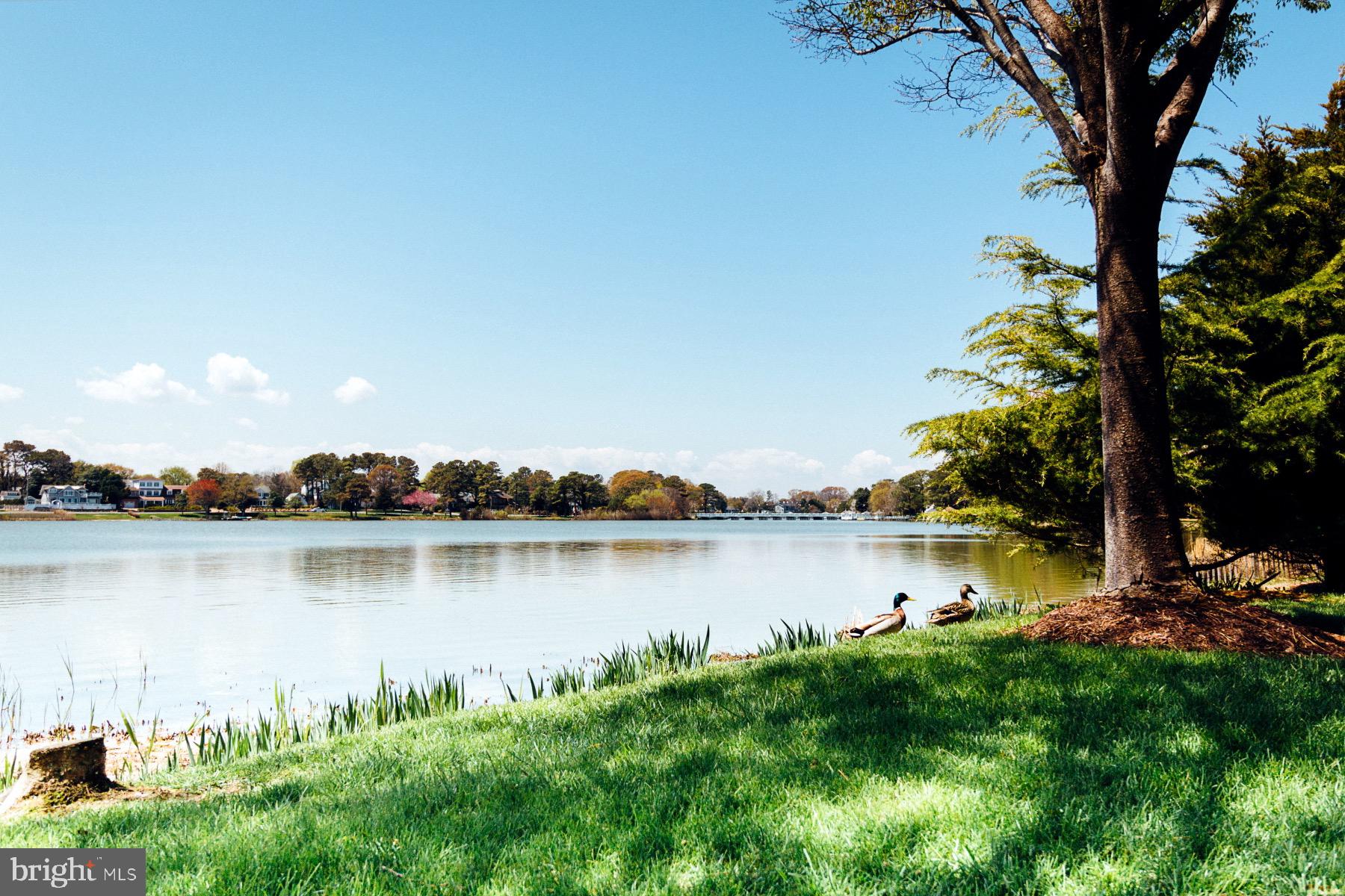SPRING LAKE - Residential