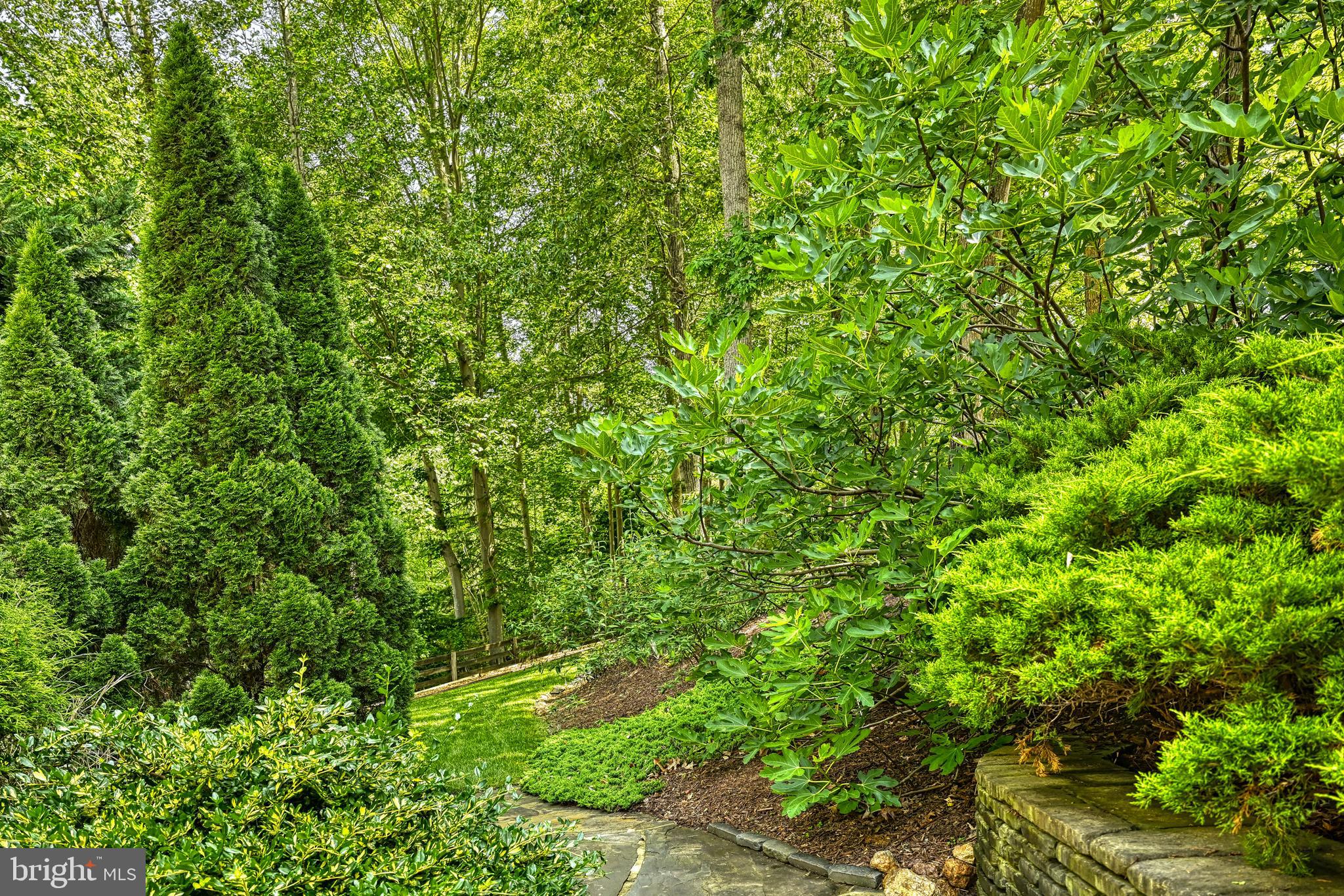 MAGNOLIA HARBOUR - Residential