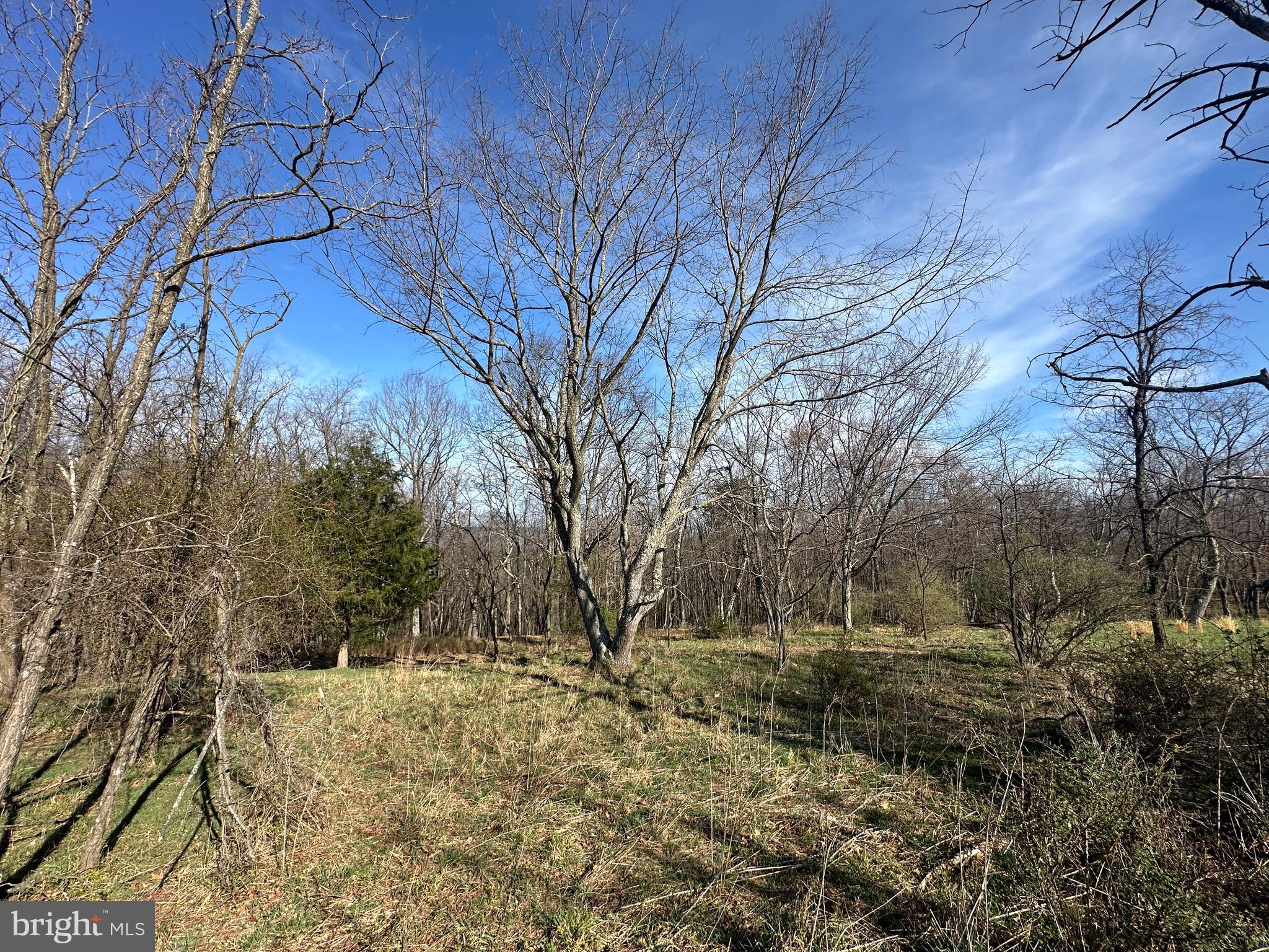 NONE AVAILABLE - Land