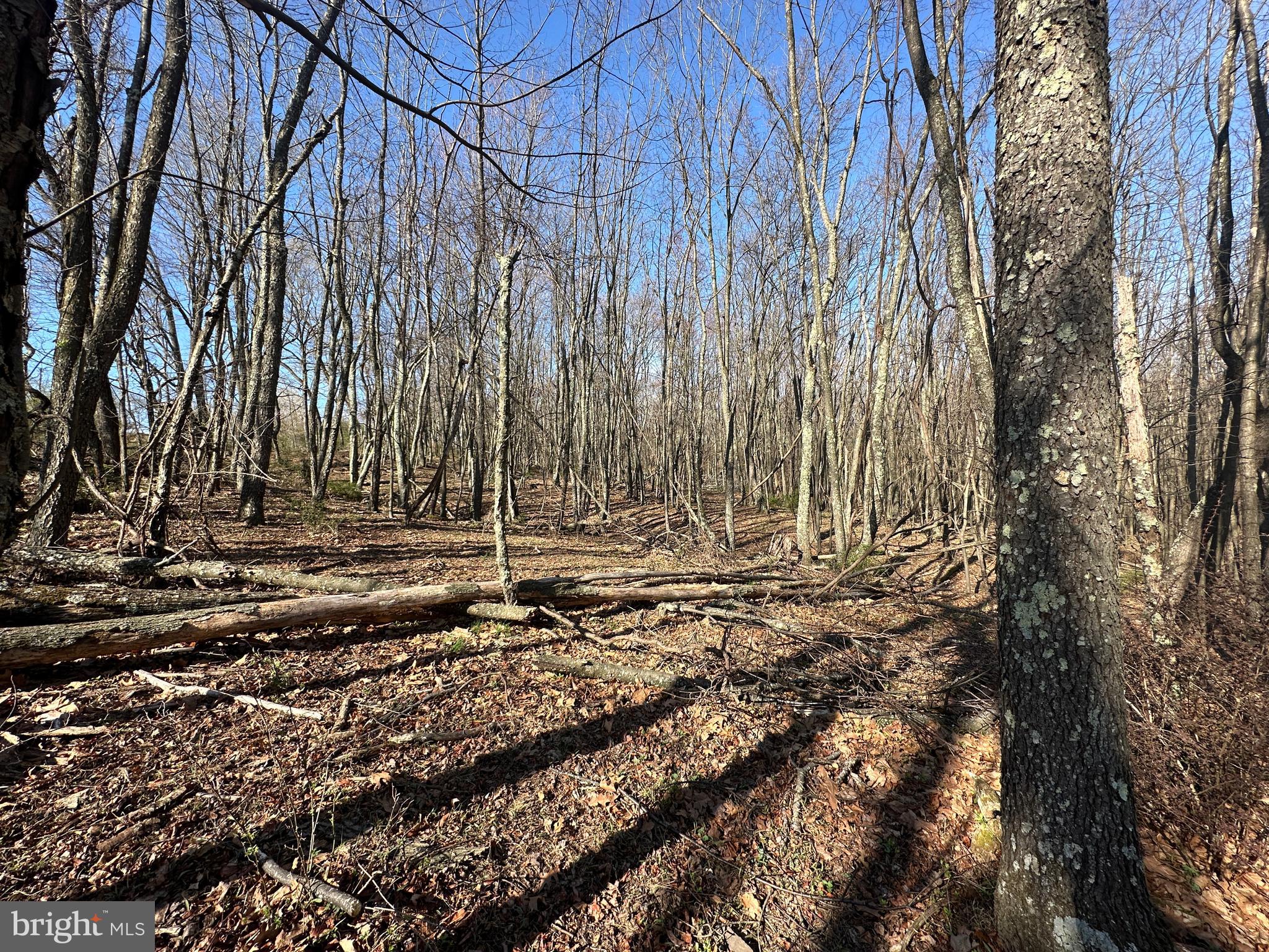 NONE AVAILABLE - Land