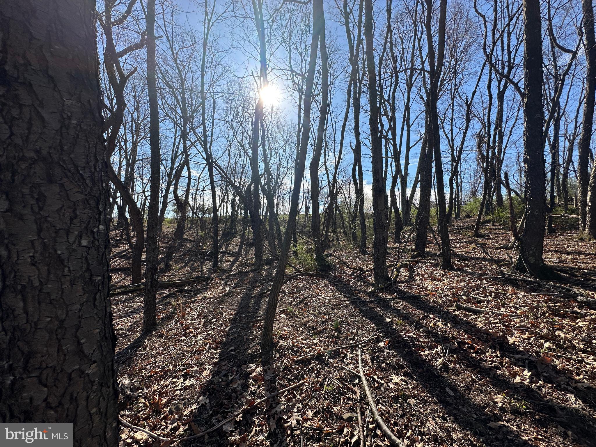 NONE AVAILABLE - Land