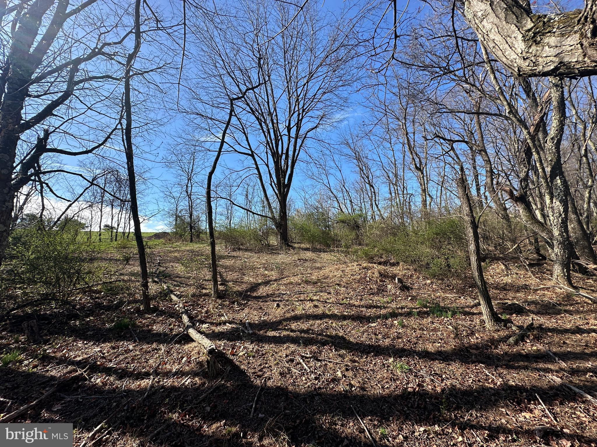 NONE AVAILABLE - Land