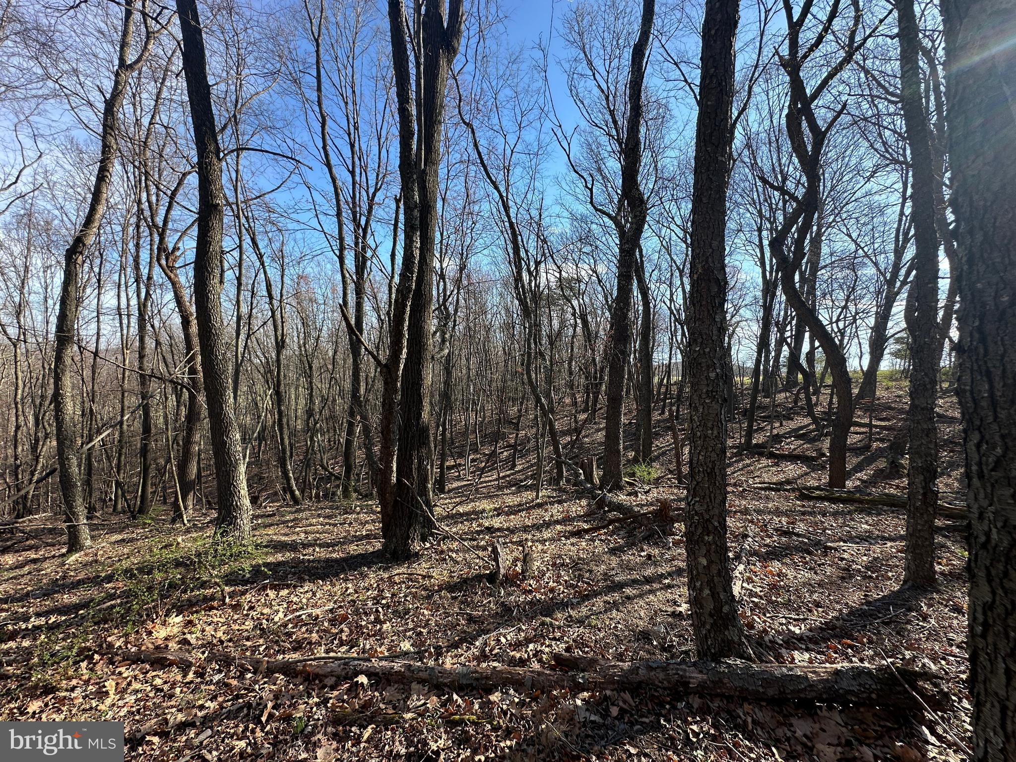 NONE AVAILABLE - Land