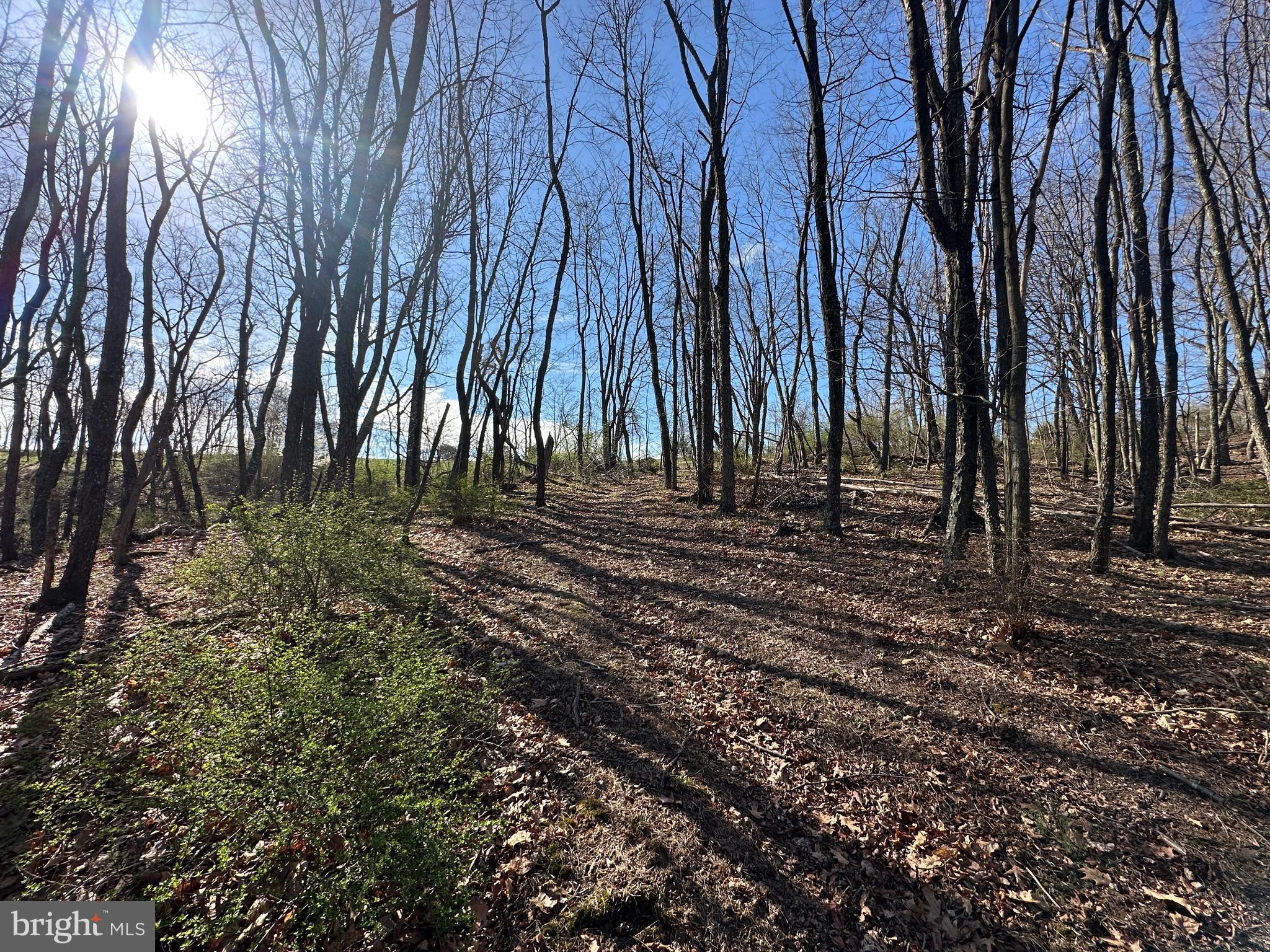 NONE AVAILABLE - Land