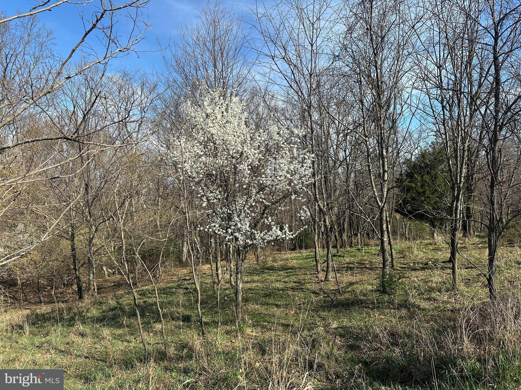 NONE AVAILABLE - Land