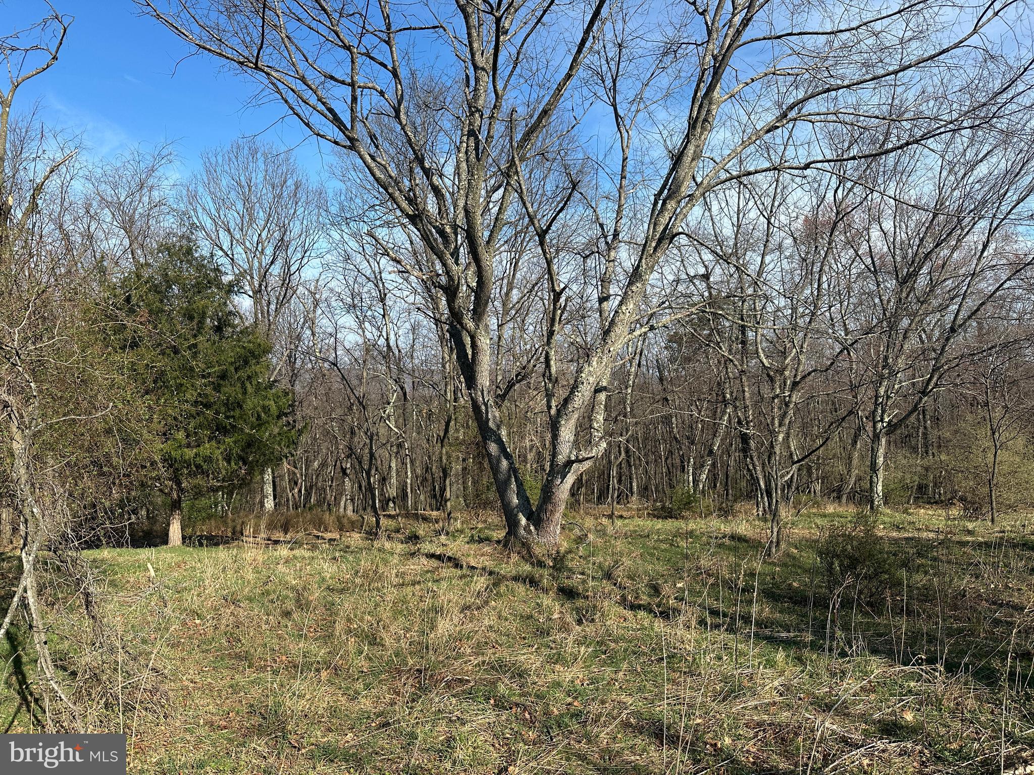 NONE AVAILABLE - Land